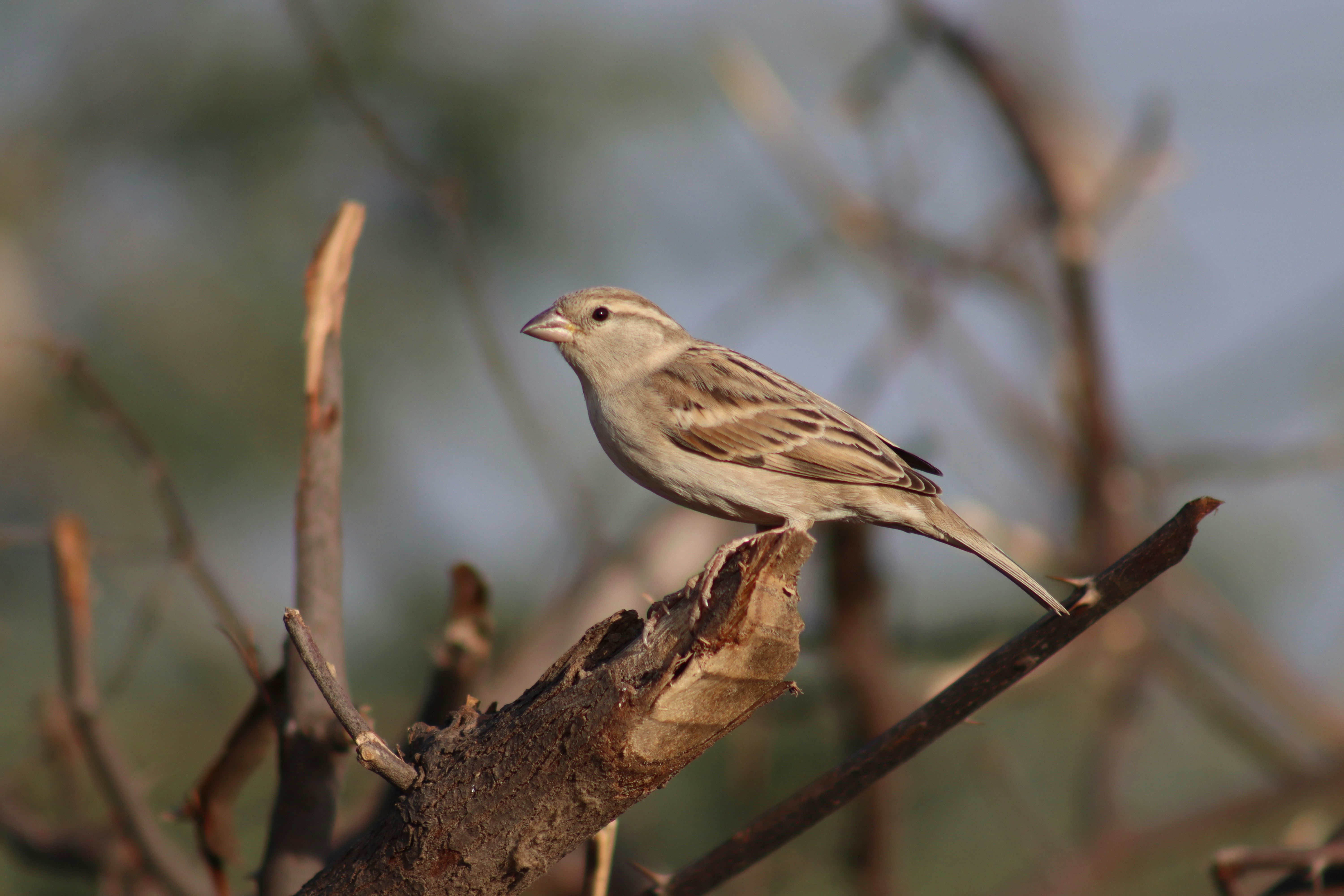 Photo by drphotographer152