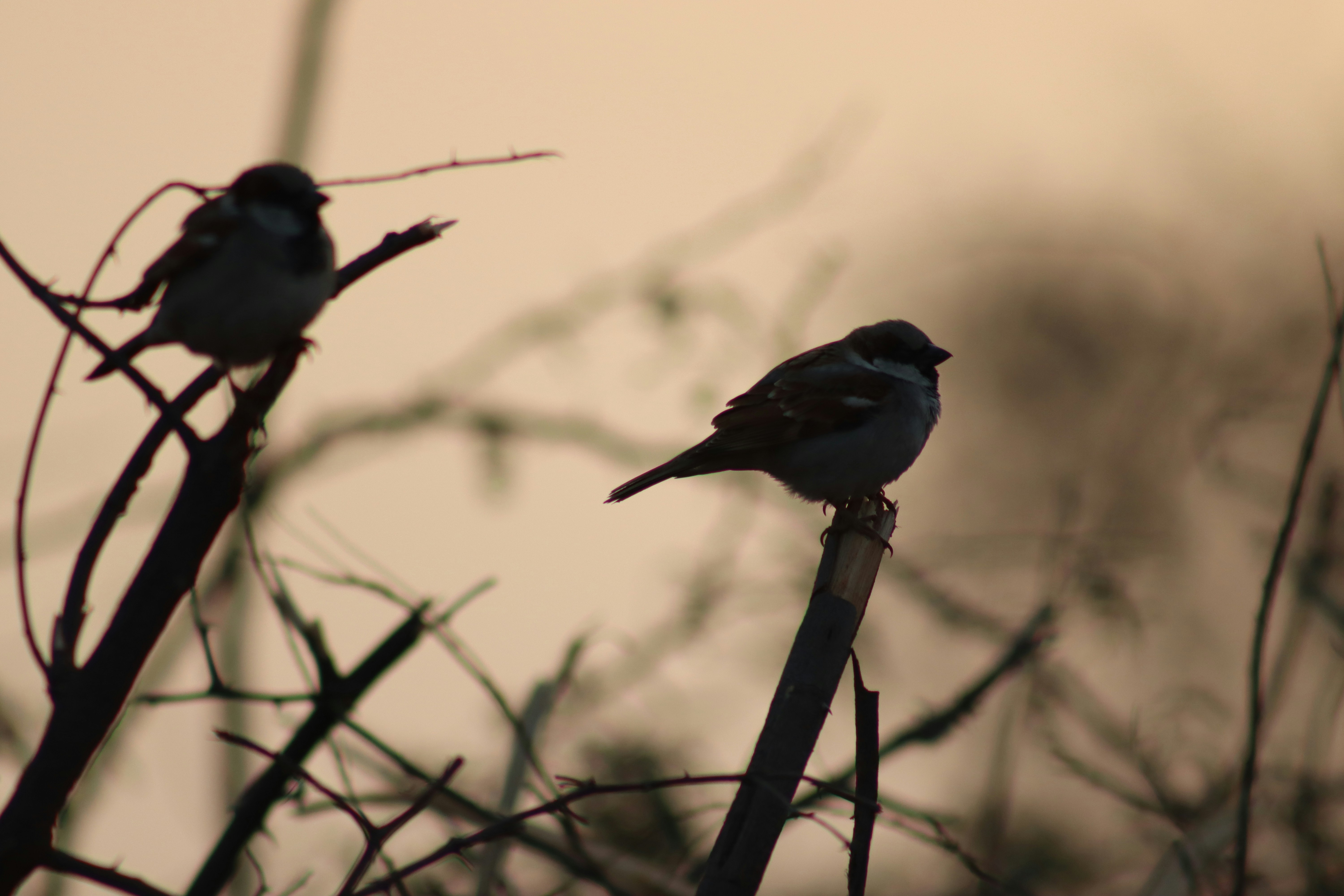 Photo by drphotographer152