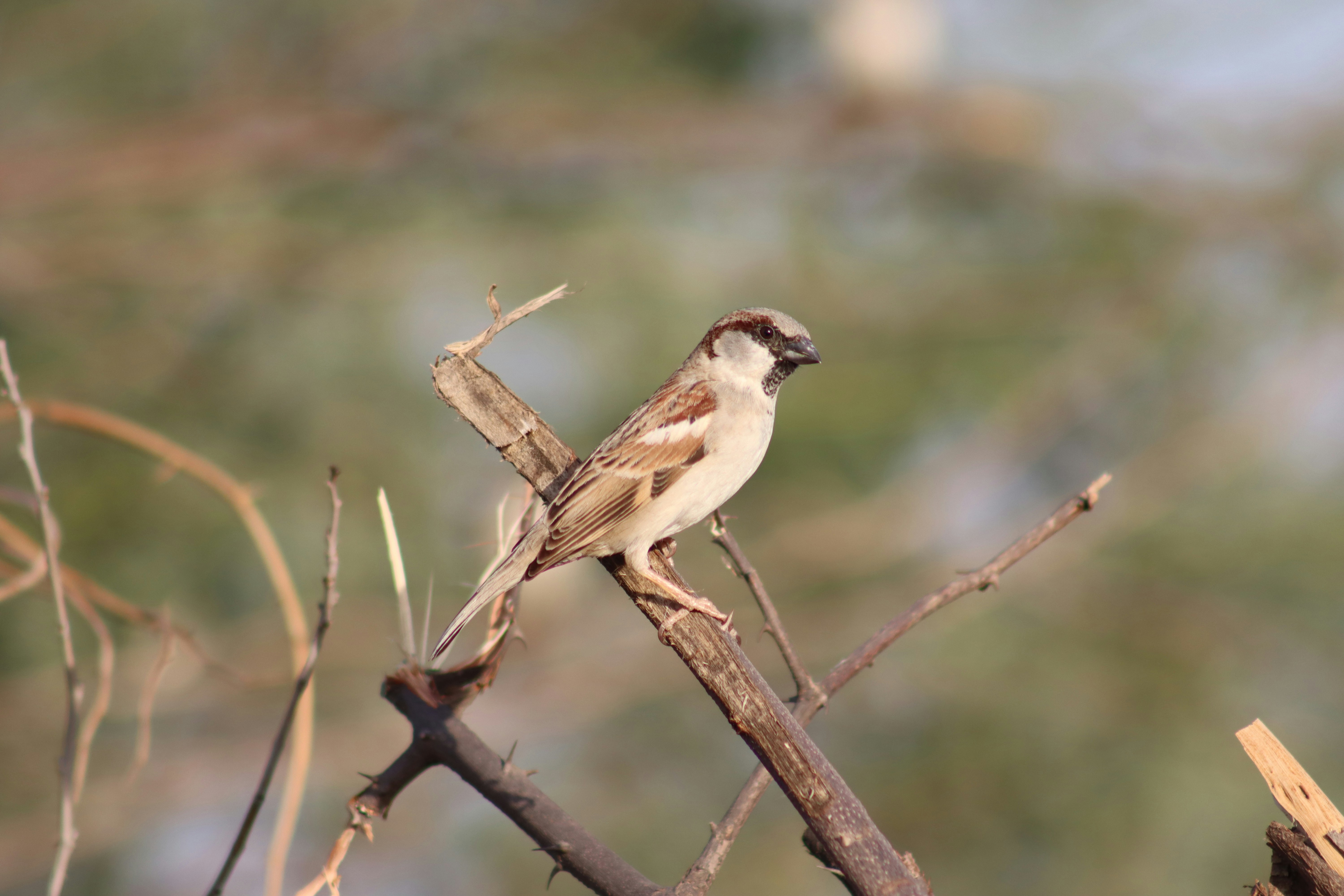 Photo by drphotographer152