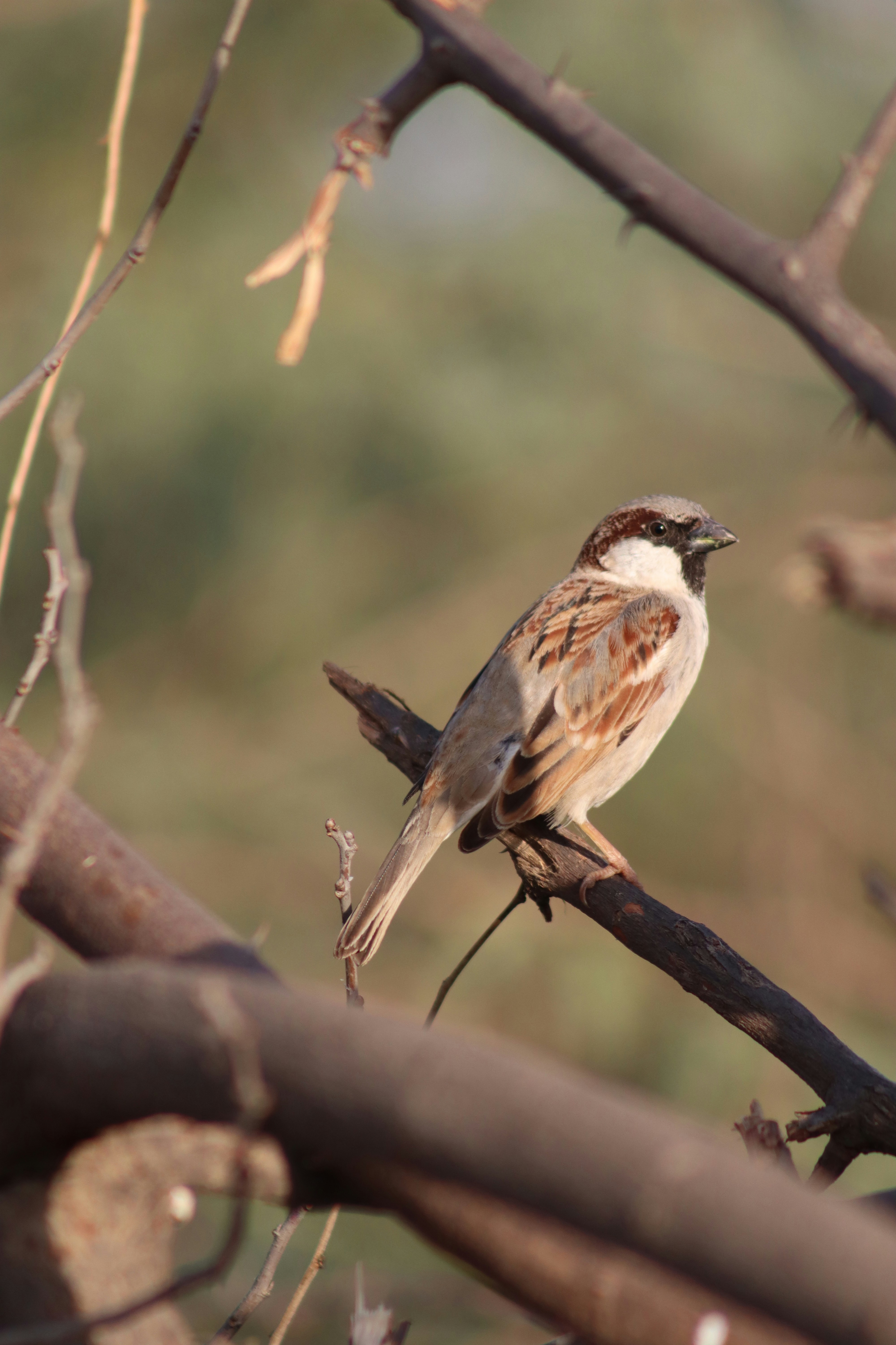 Photo by drphotographer152