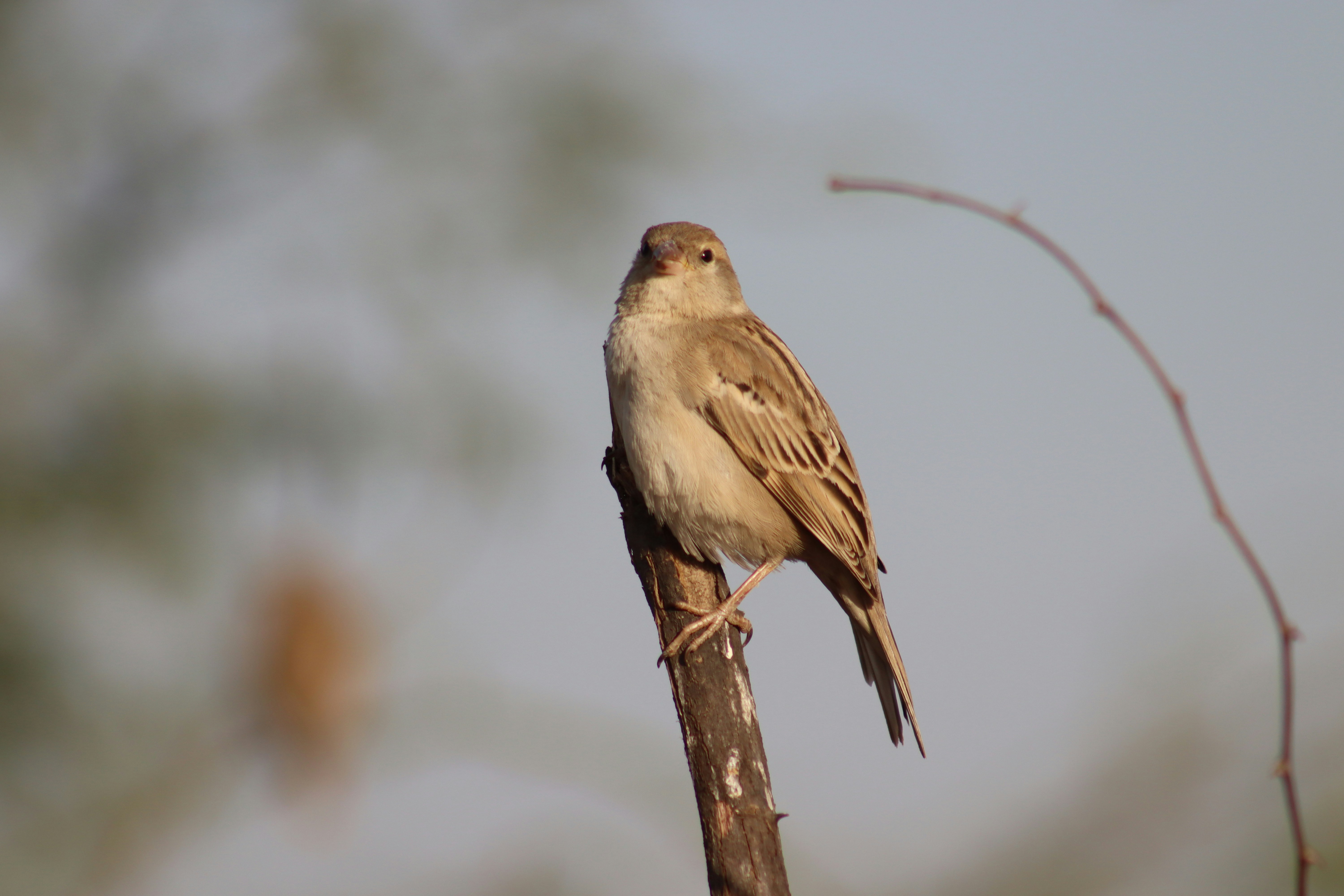 Photo by drphotographer152