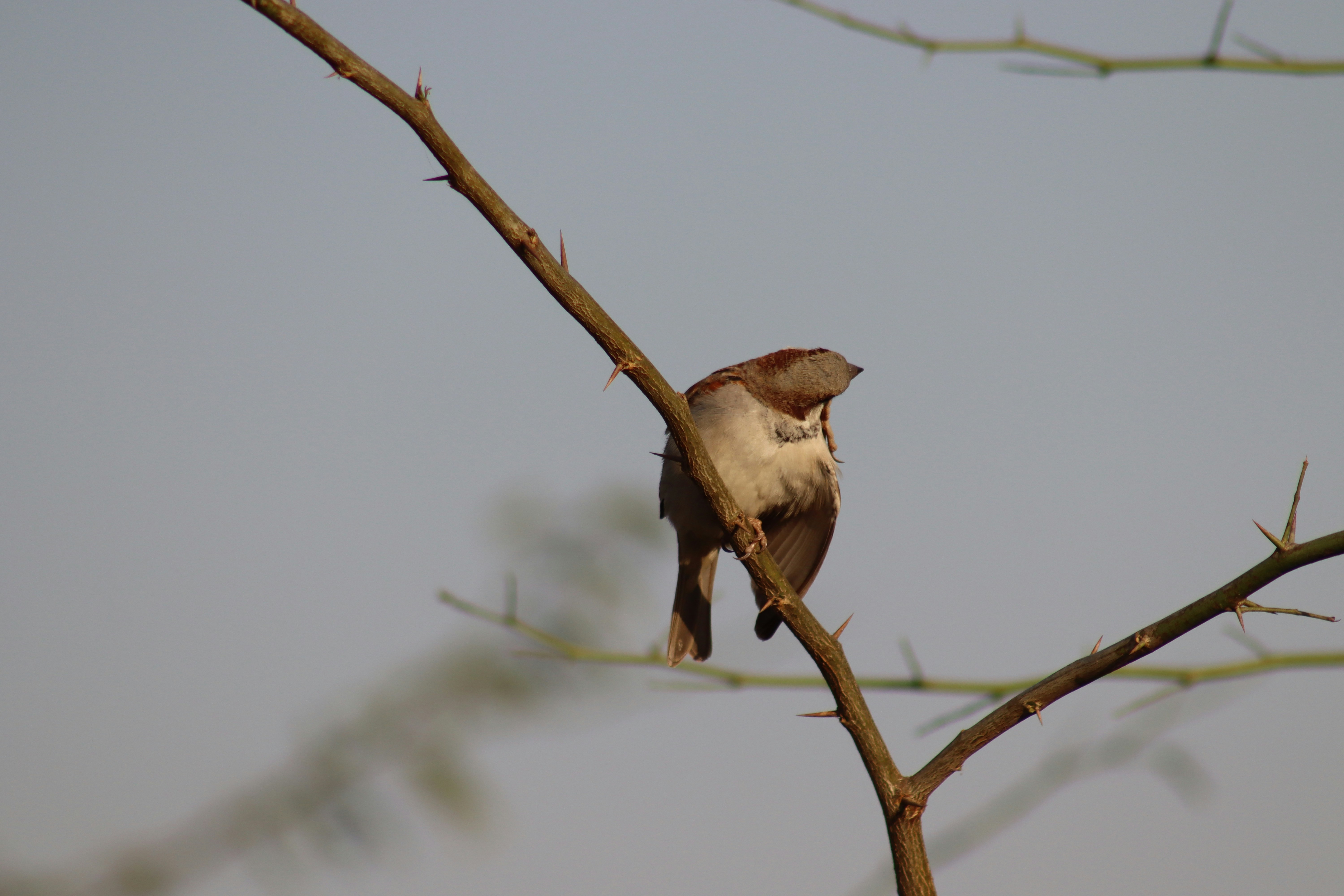 Photo by drphotographer152