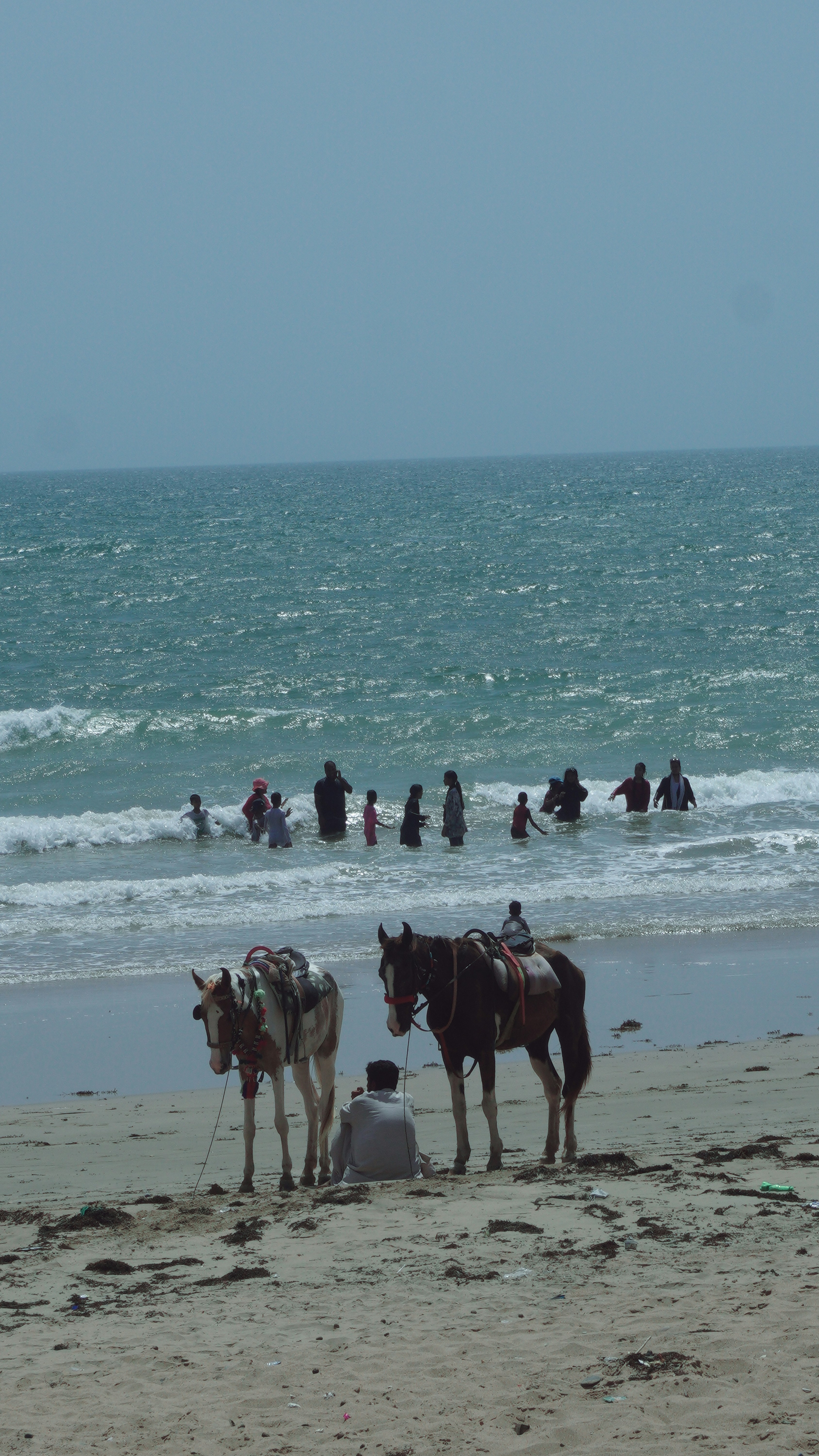 Activities and Excursions for Families