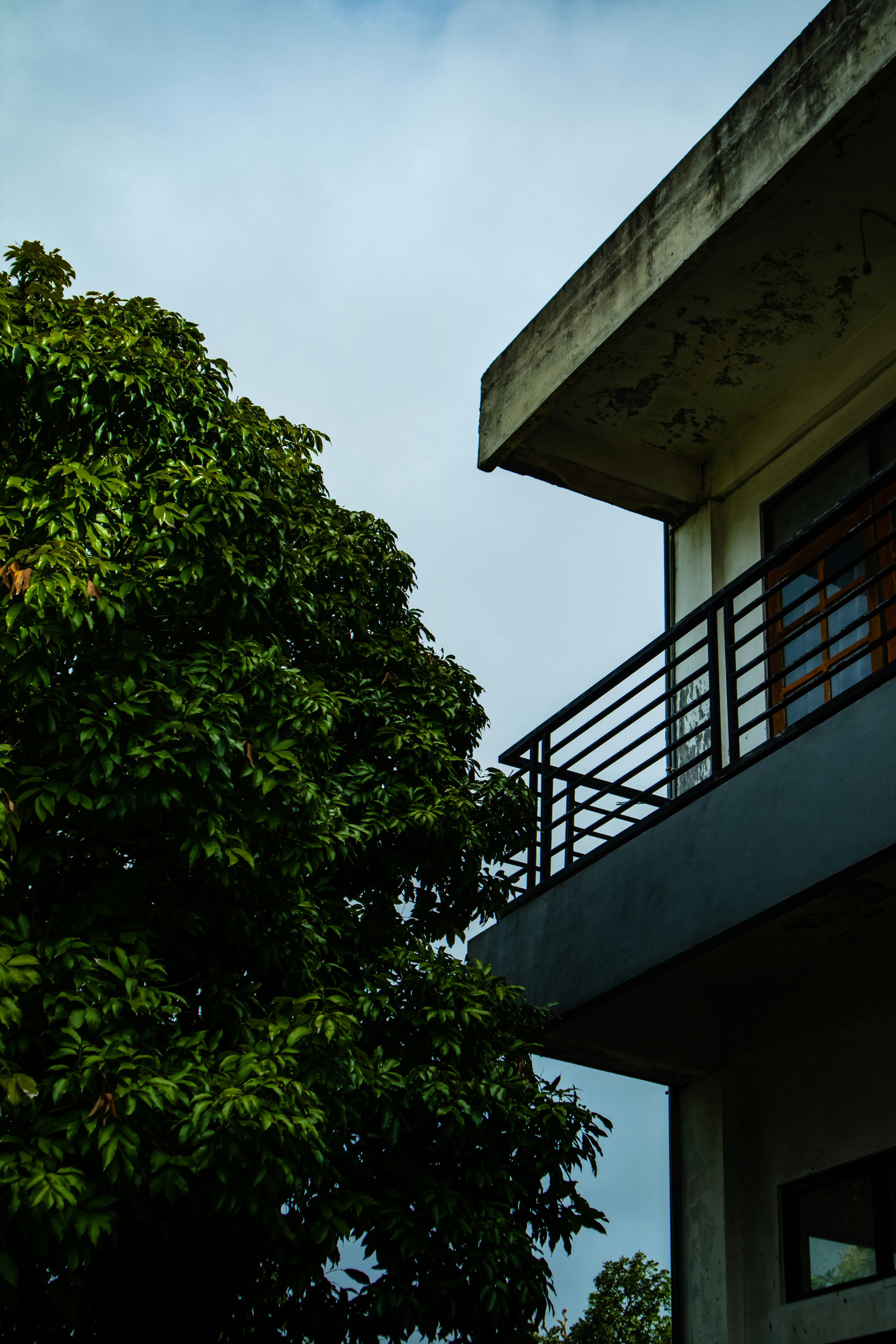 Photo by mechaberry
