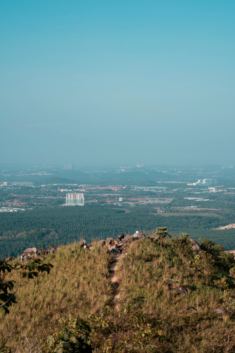 a man standing on top of a lush green hillside