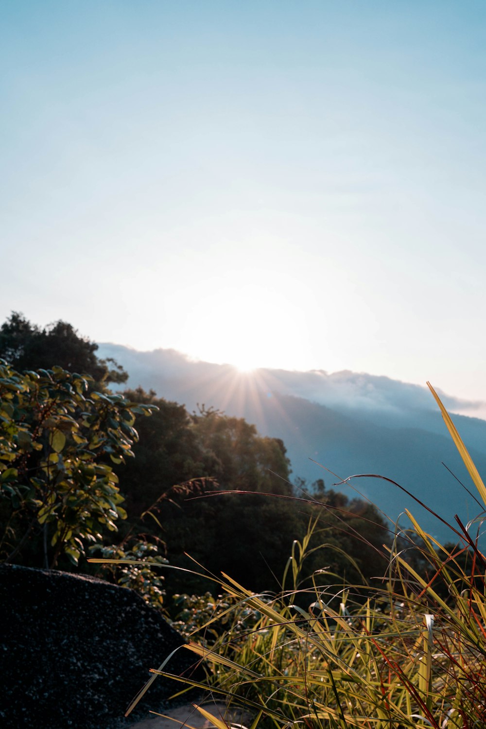 the sun is shining over the mountains and trees