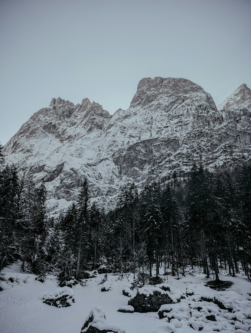 a mountain covered in snow next to a forest