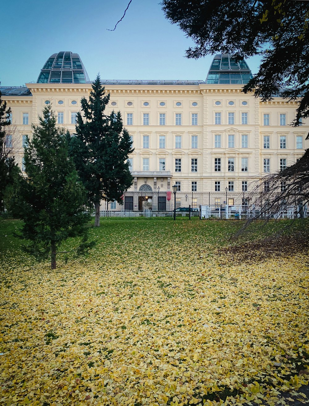 A large building with a lot of trees in front of it photo – Free Vienna  Image on Unsplash