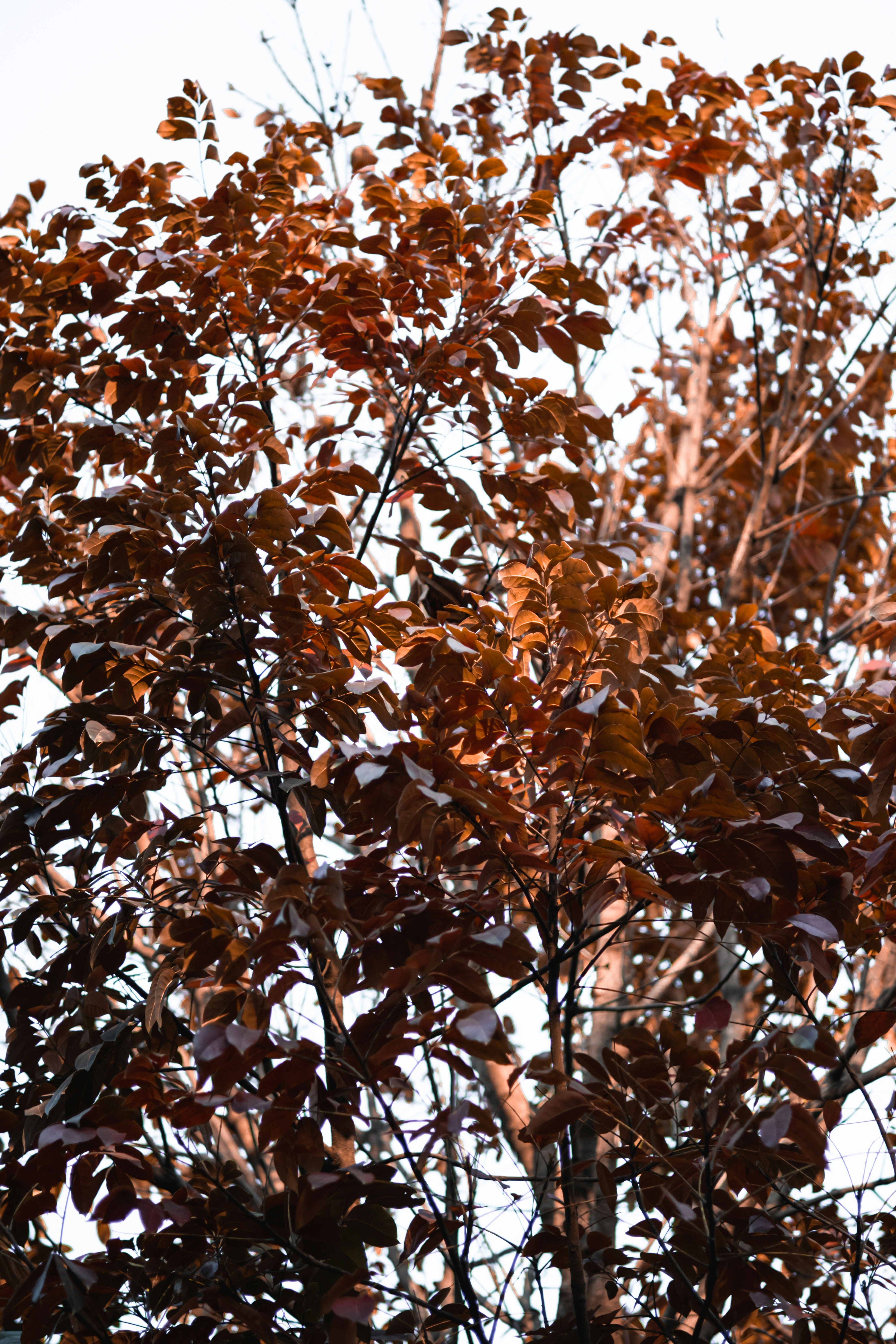 Photo by sameer_srivastava