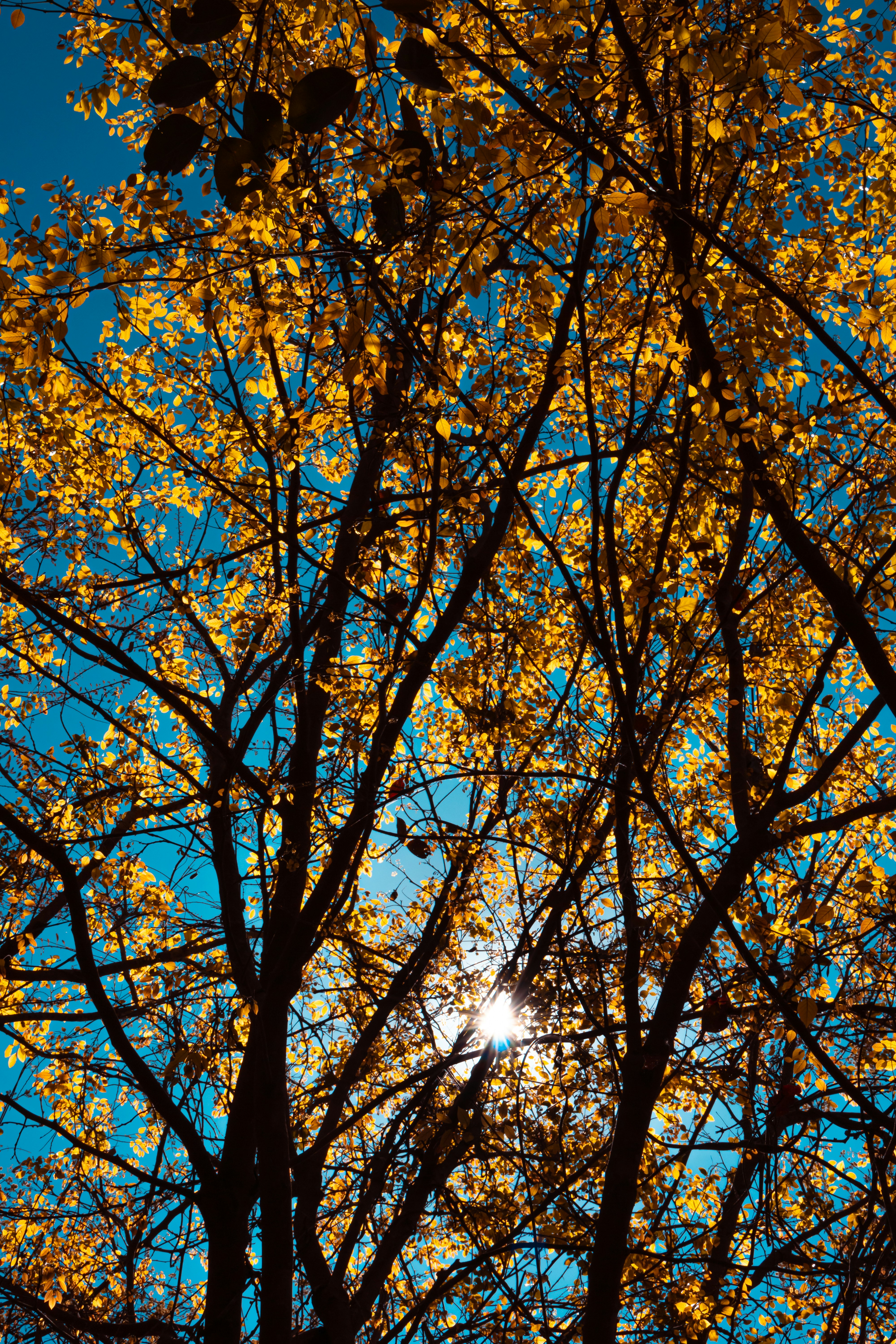 Photo by sameer_srivastava