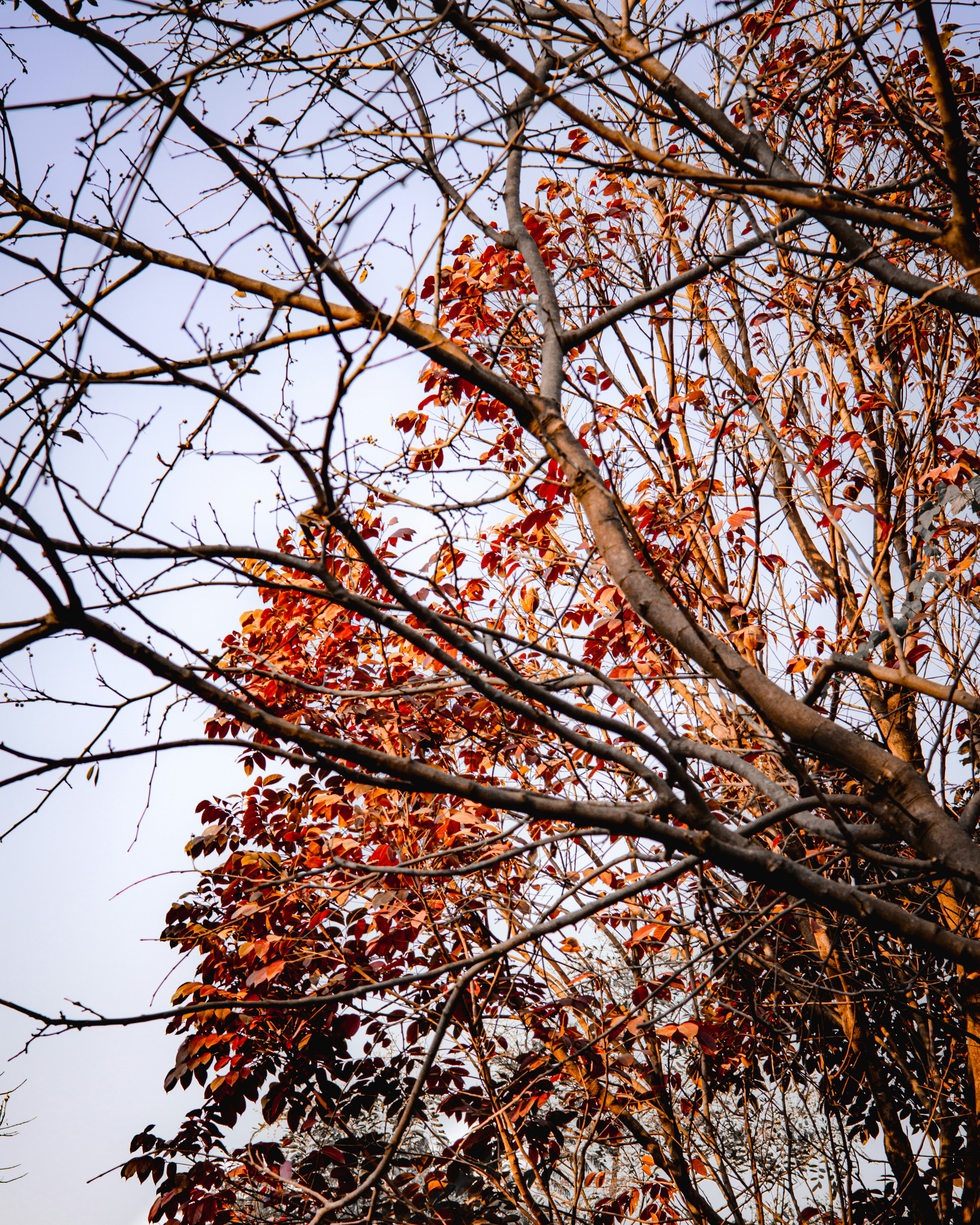 Photo by sameer_srivastava