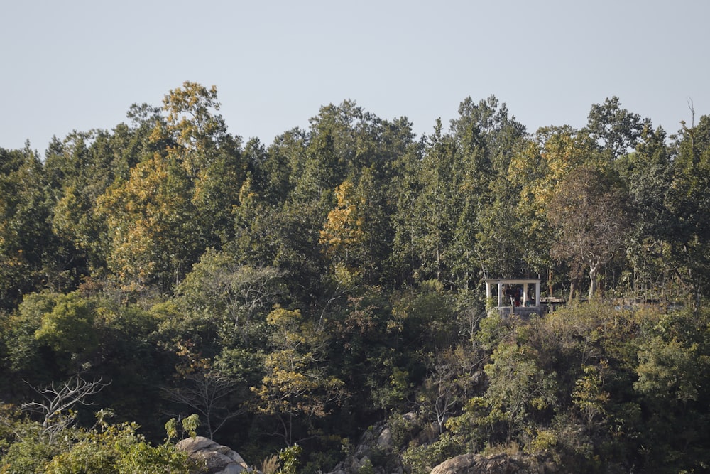 a cabin in the middle of a forest