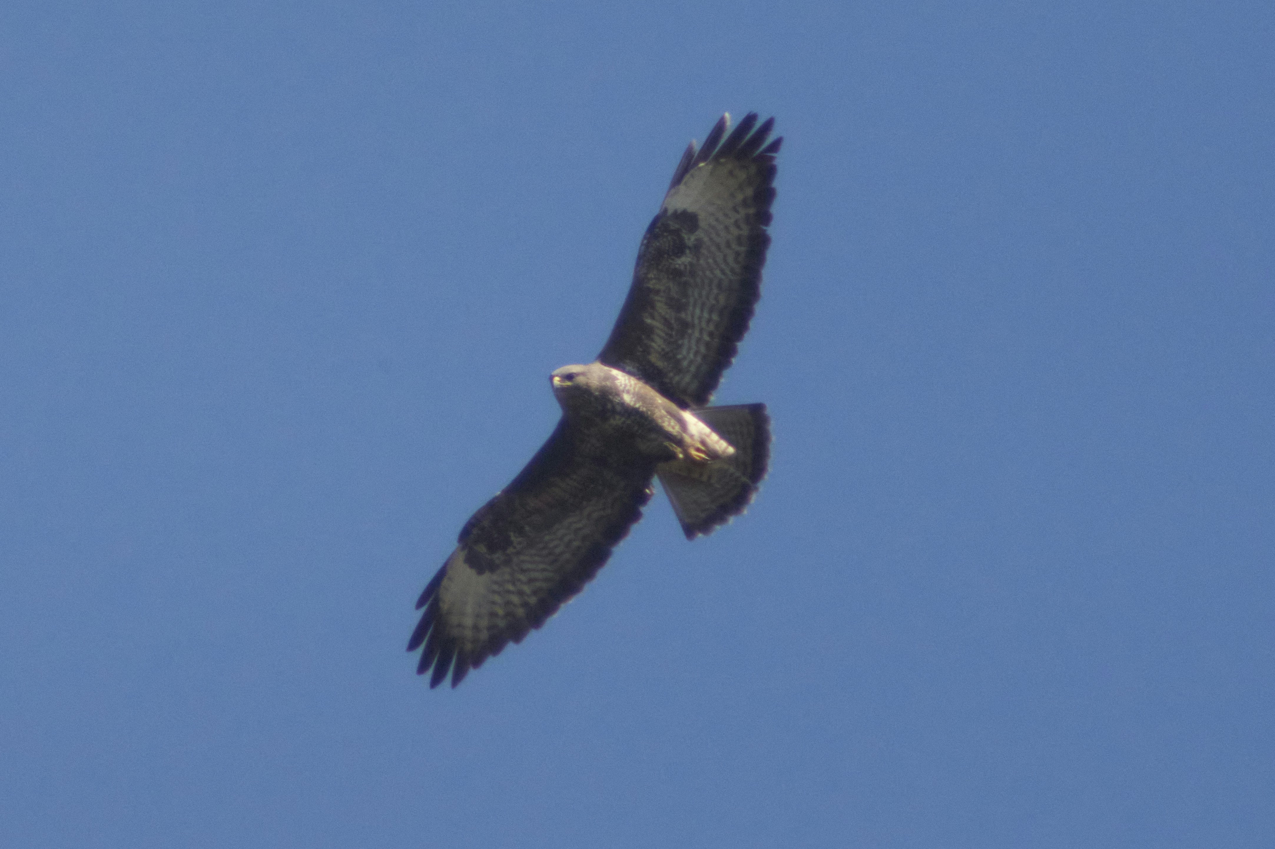 Photo by sarajevo1963