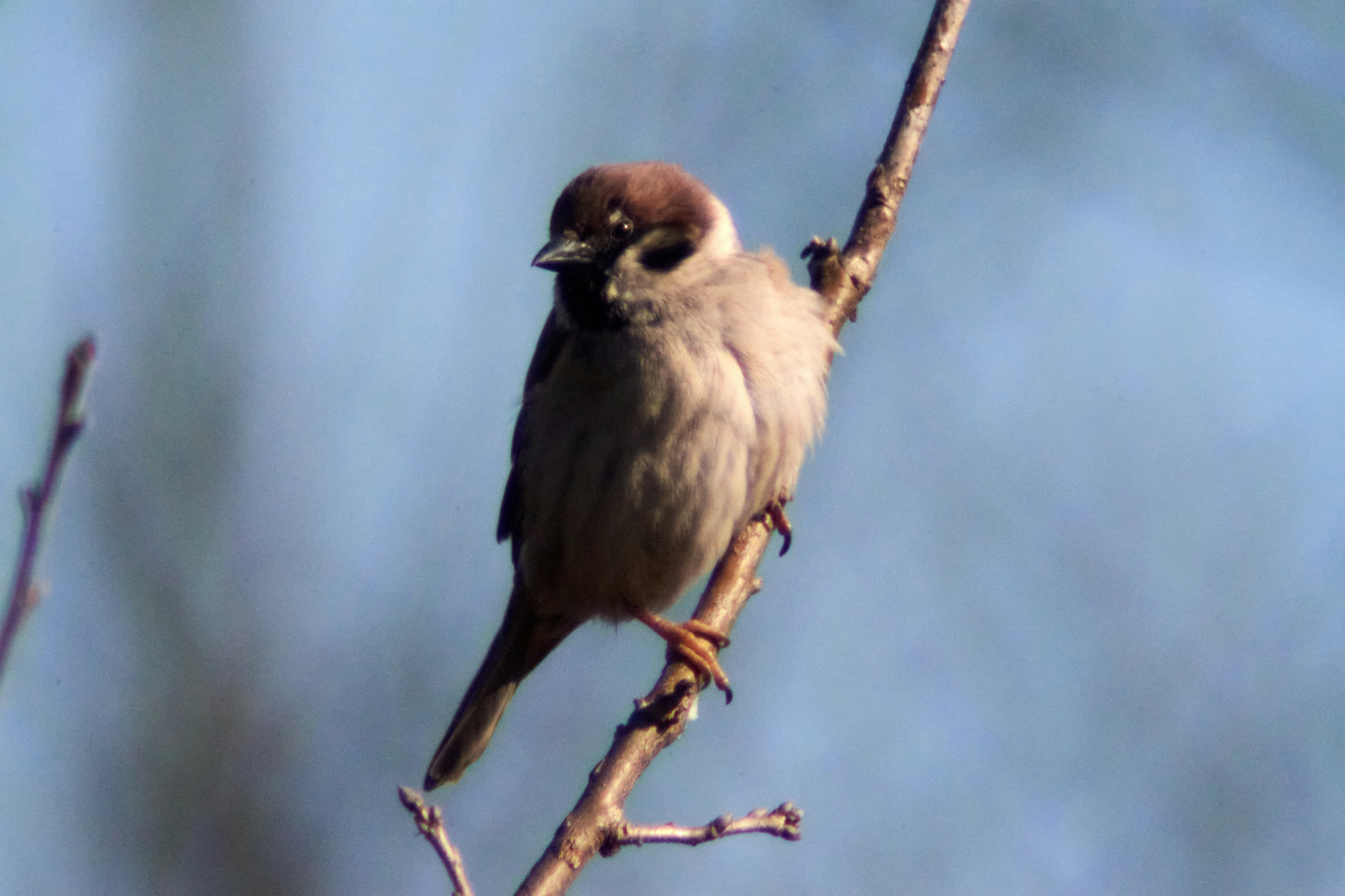 Photo by sarajevo1963
