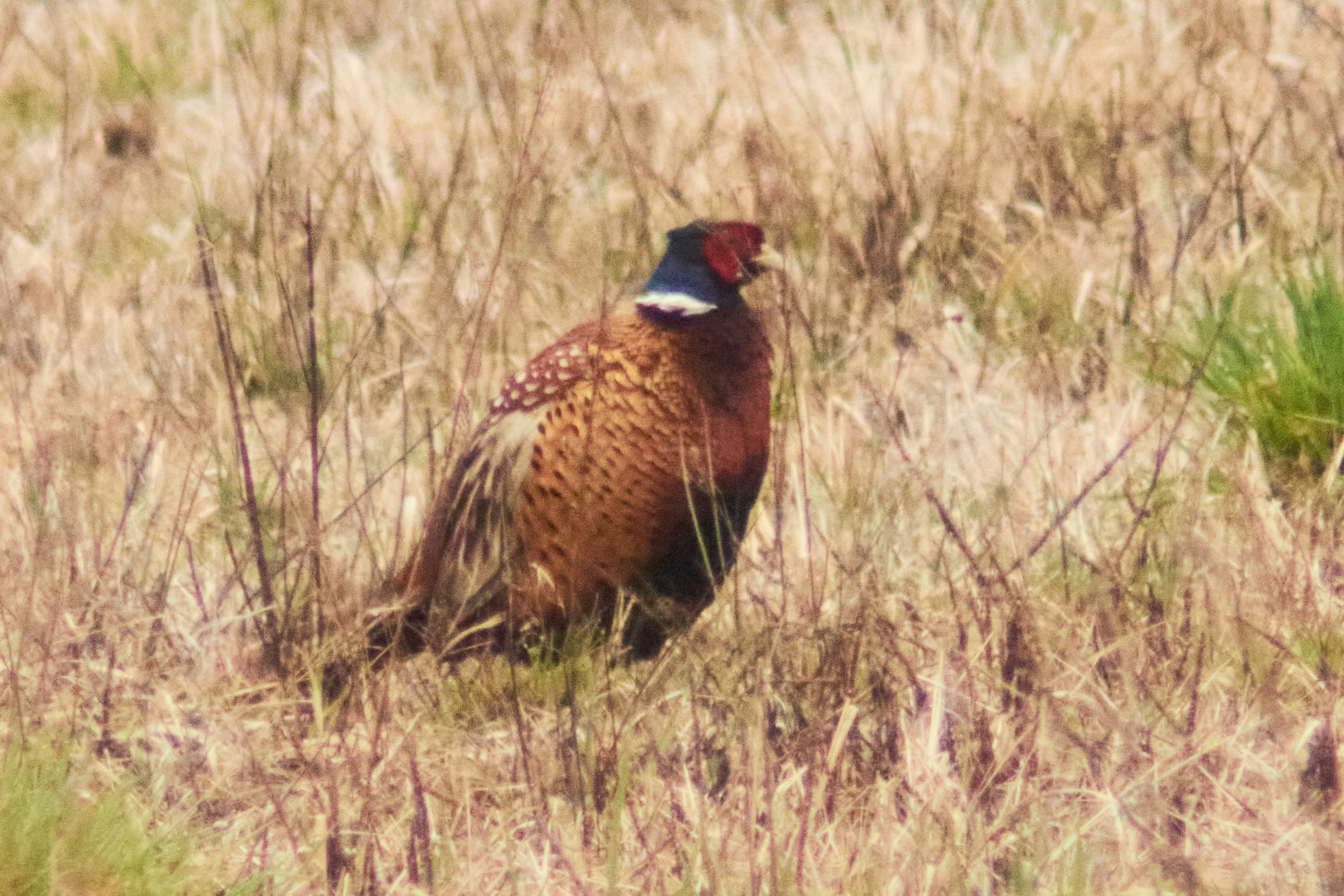 Photo by sarajevo1963