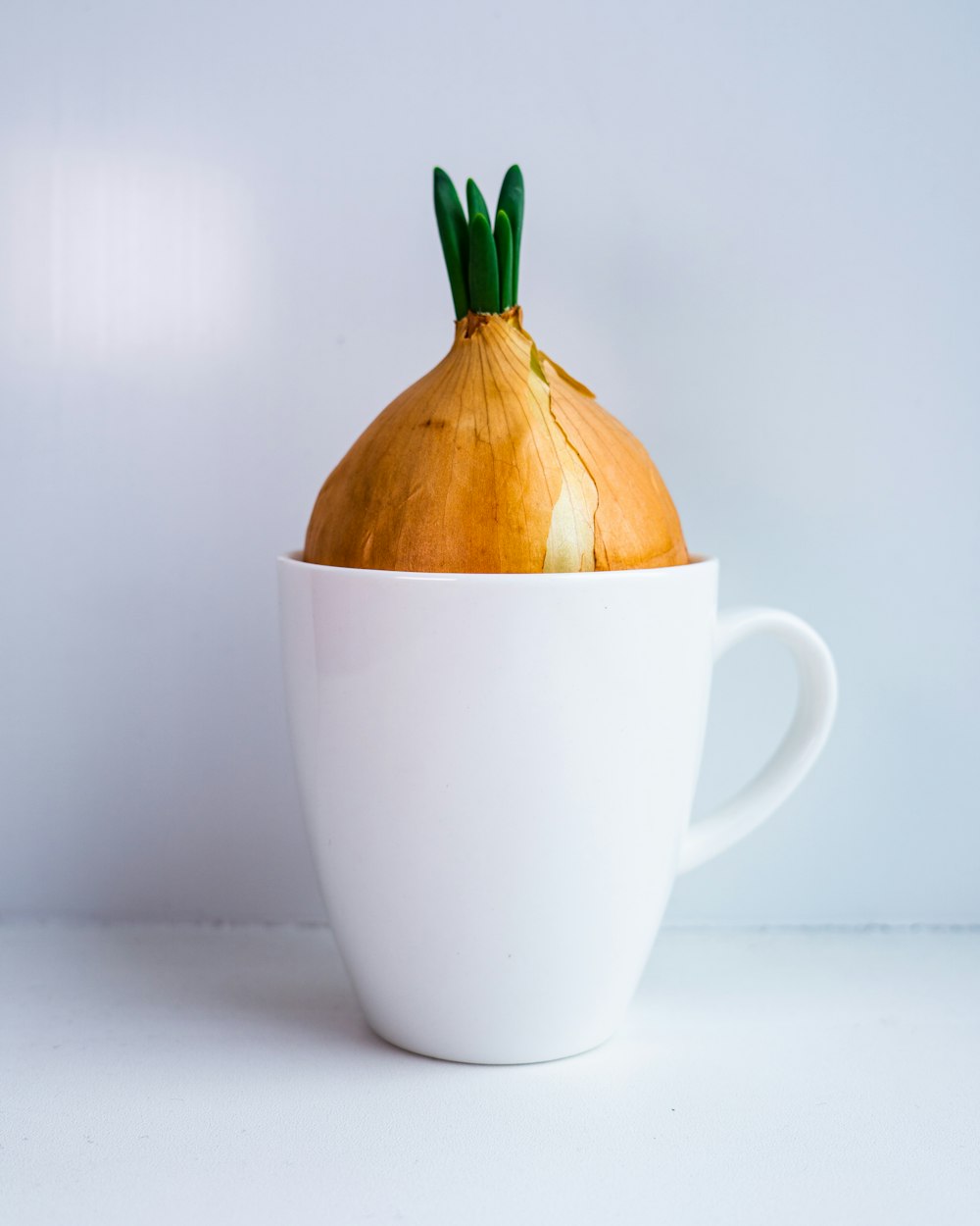 an onion sitting in a white cup on a table