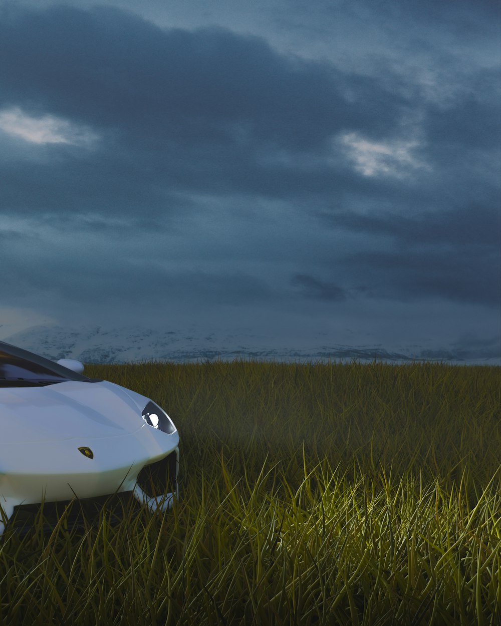 Une voiture de sport blanche garée dans un champ herbeux