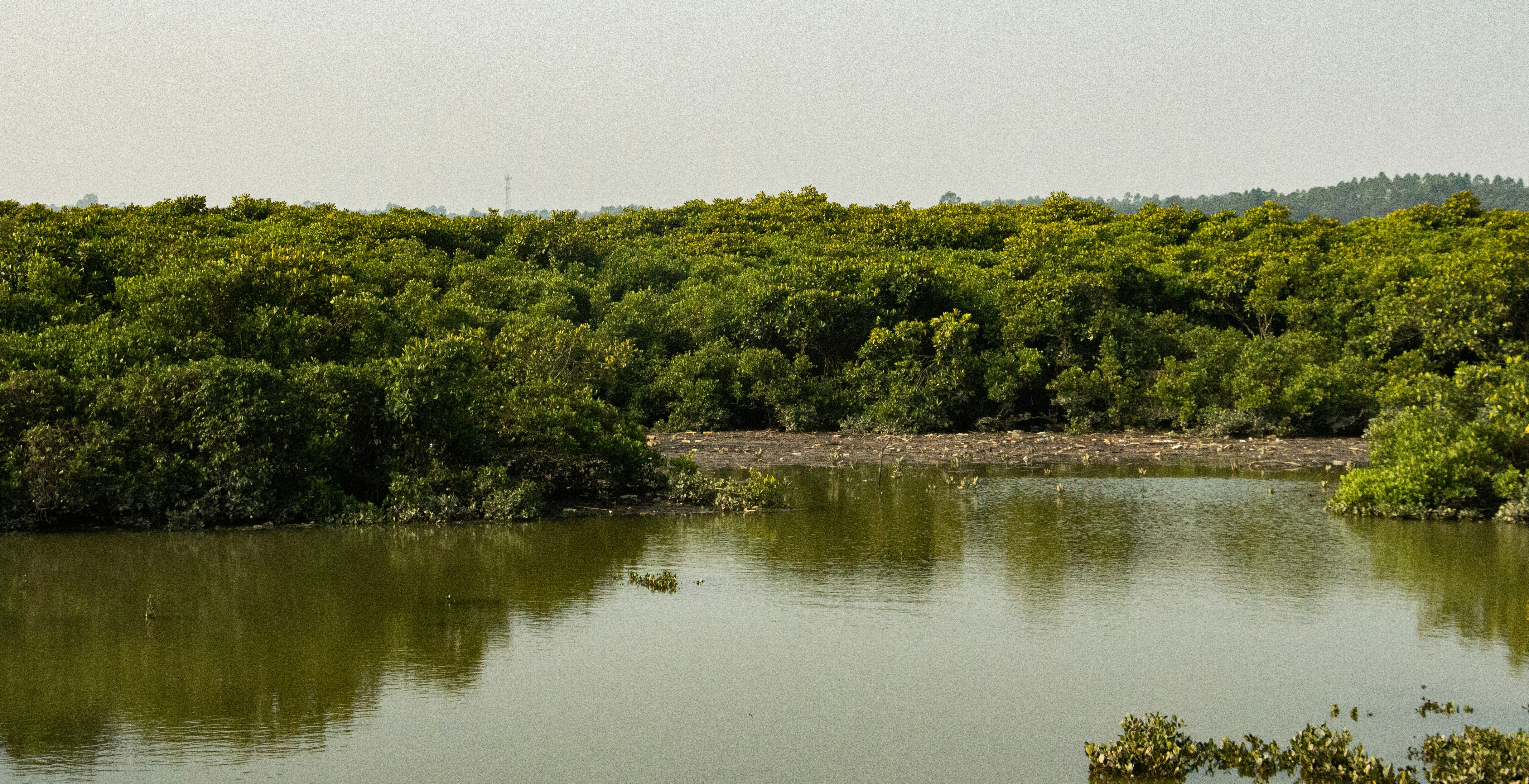 Photo by maro_of_sengu