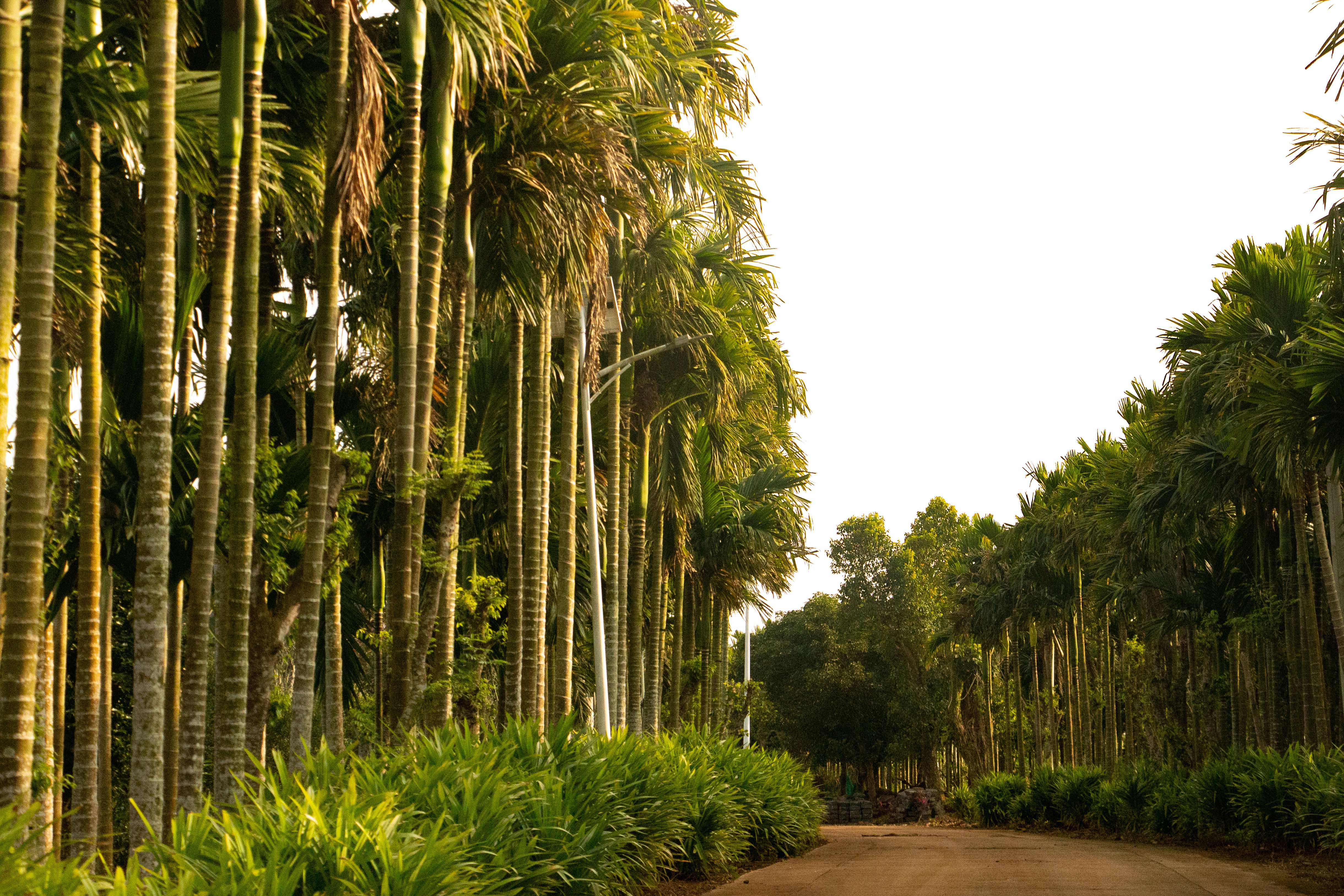 Photo by maro_of_sengu