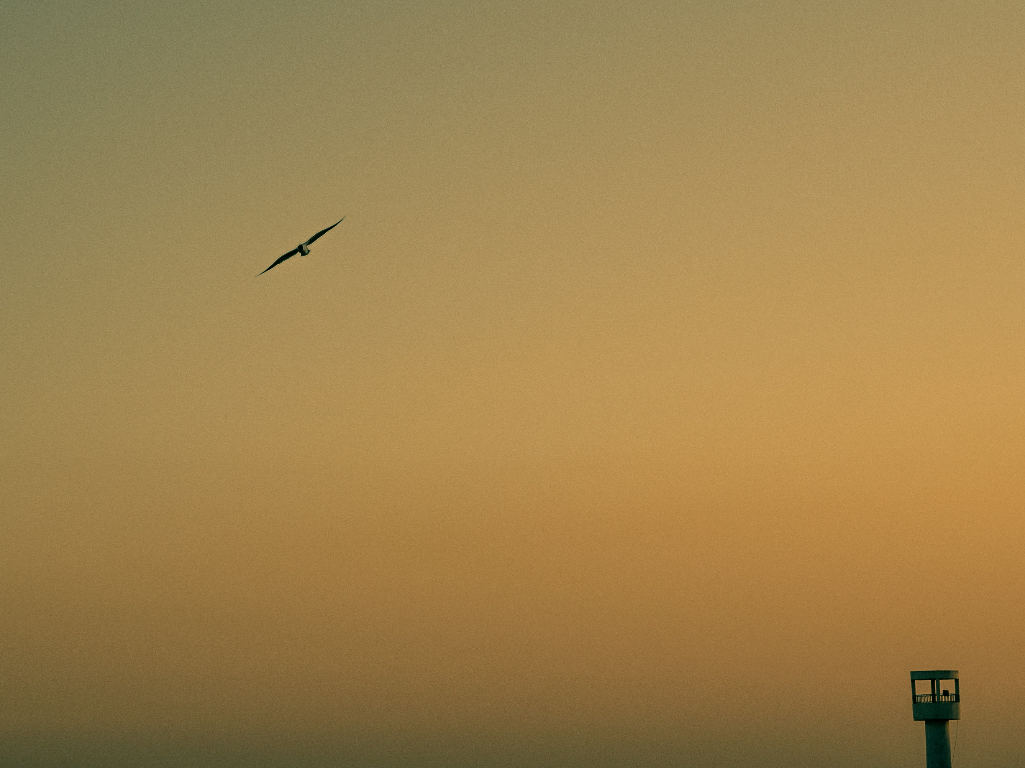 Photo by bilelzaghdoudi