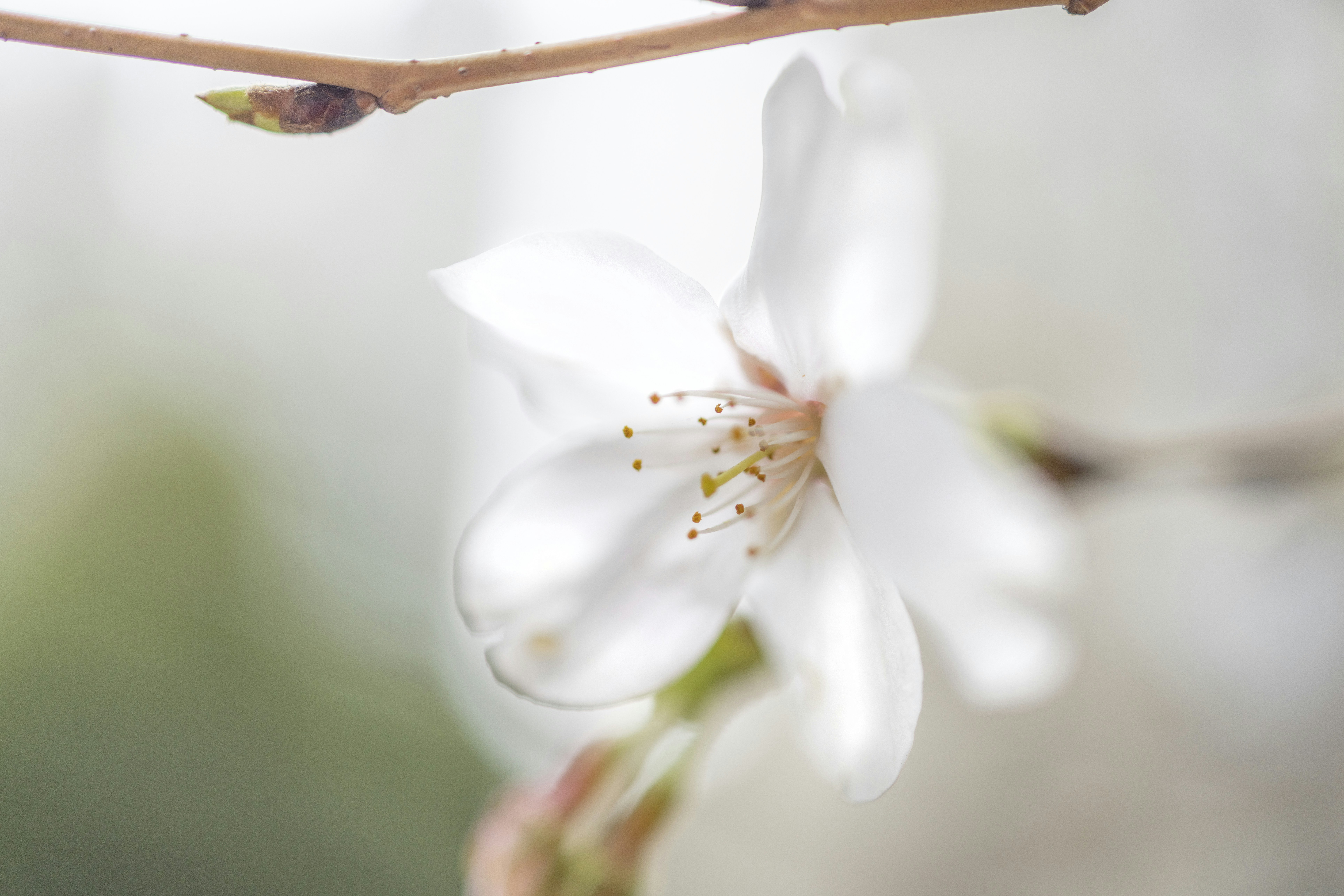 Photo by arttoinspire