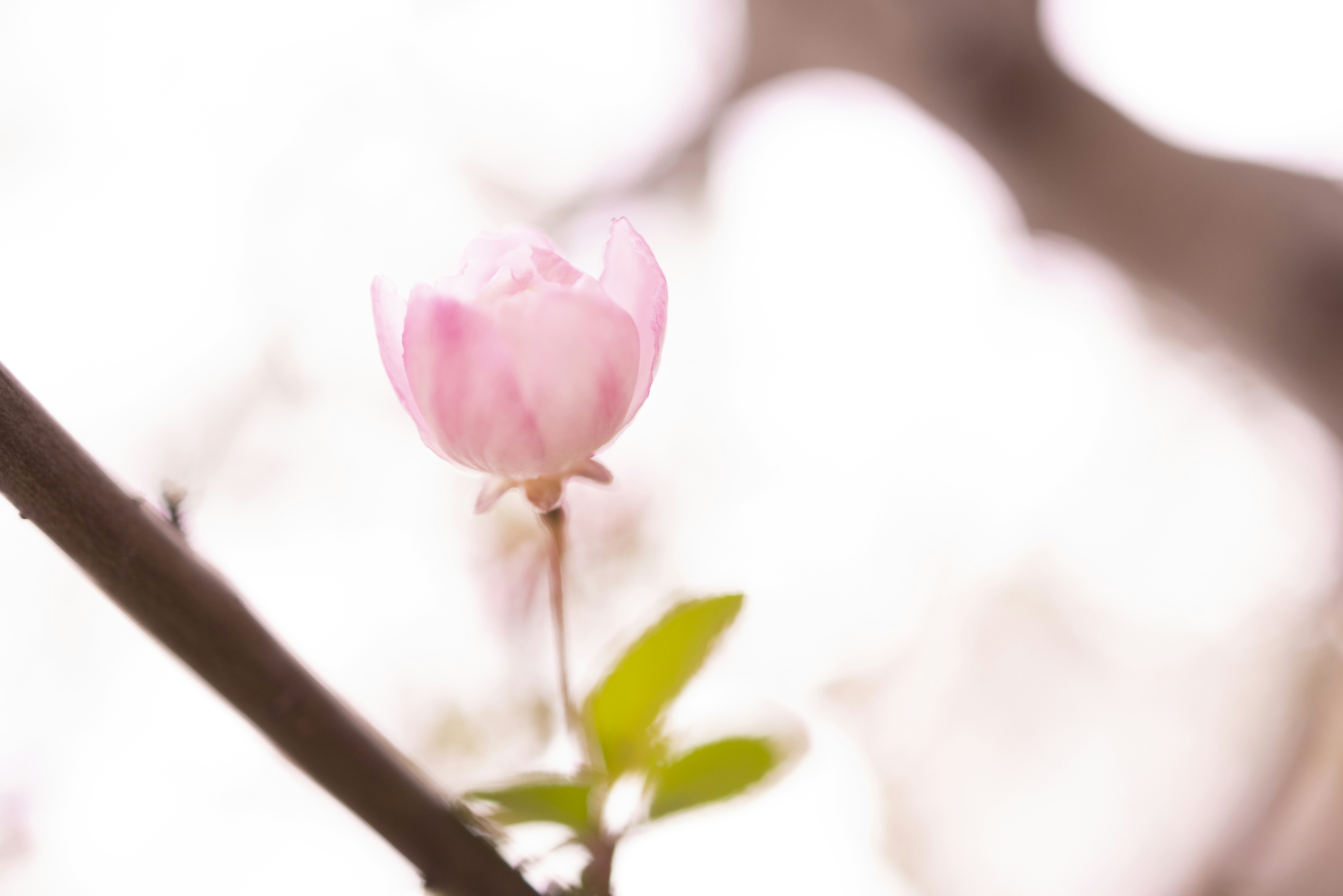 Photo by arttoinspire