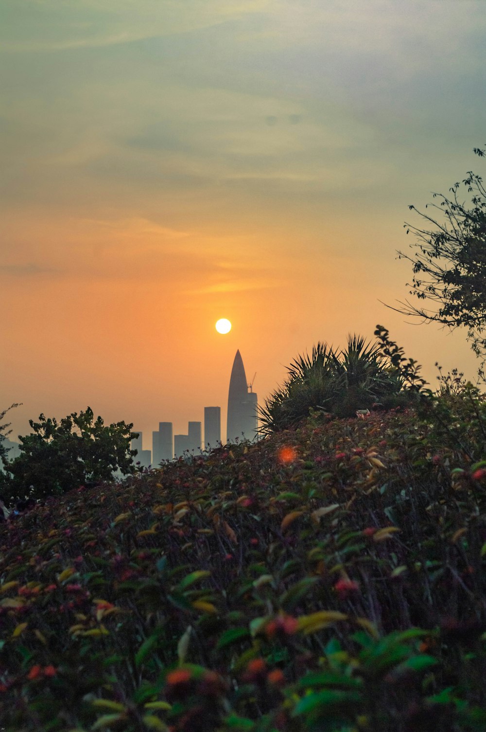 the sun is setting over the city skyline