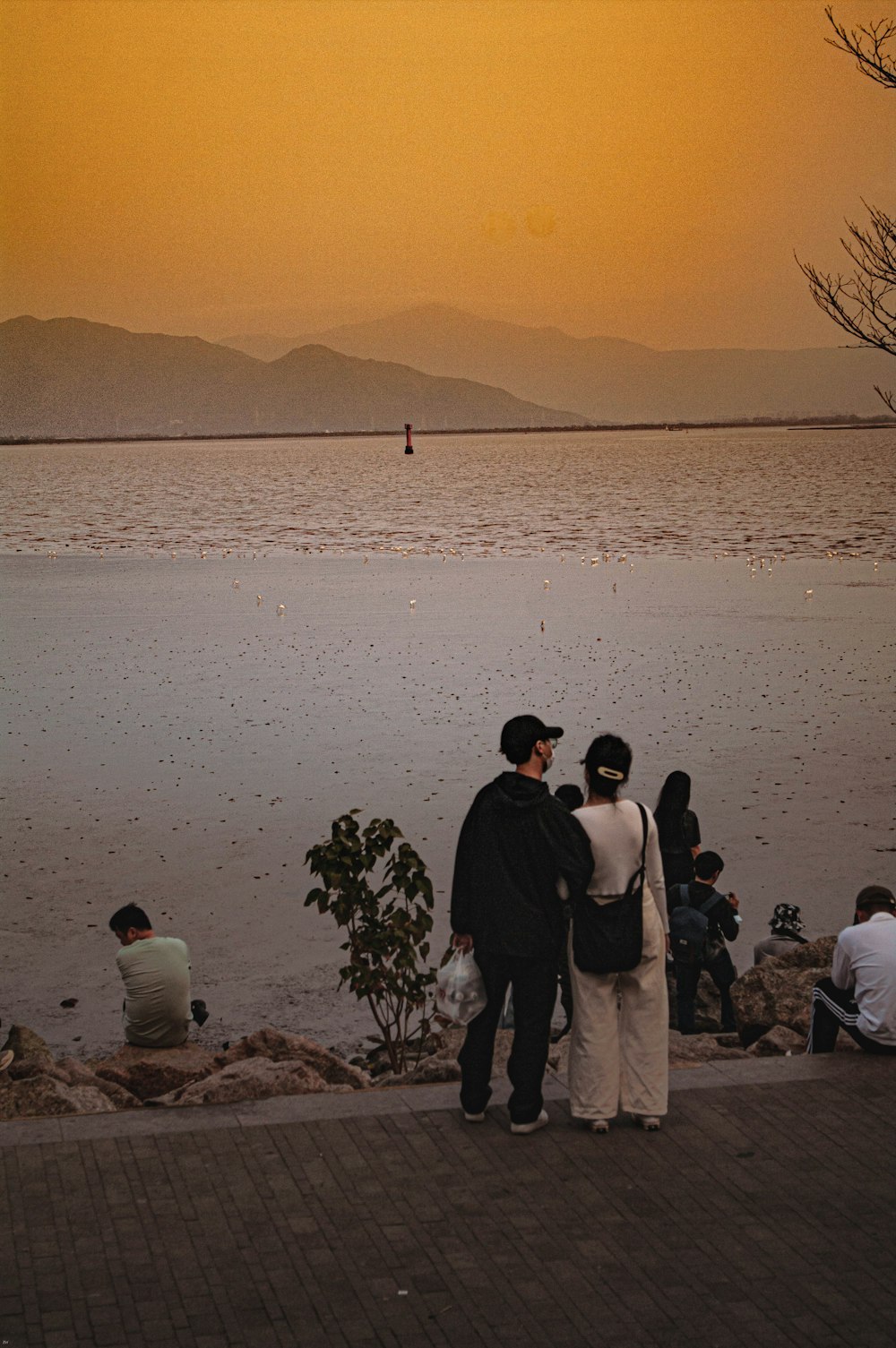 a group of people standing next to a body of water