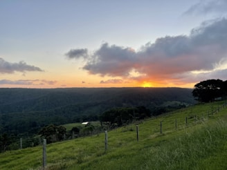 A picturesque sunset view over the garden landscape.