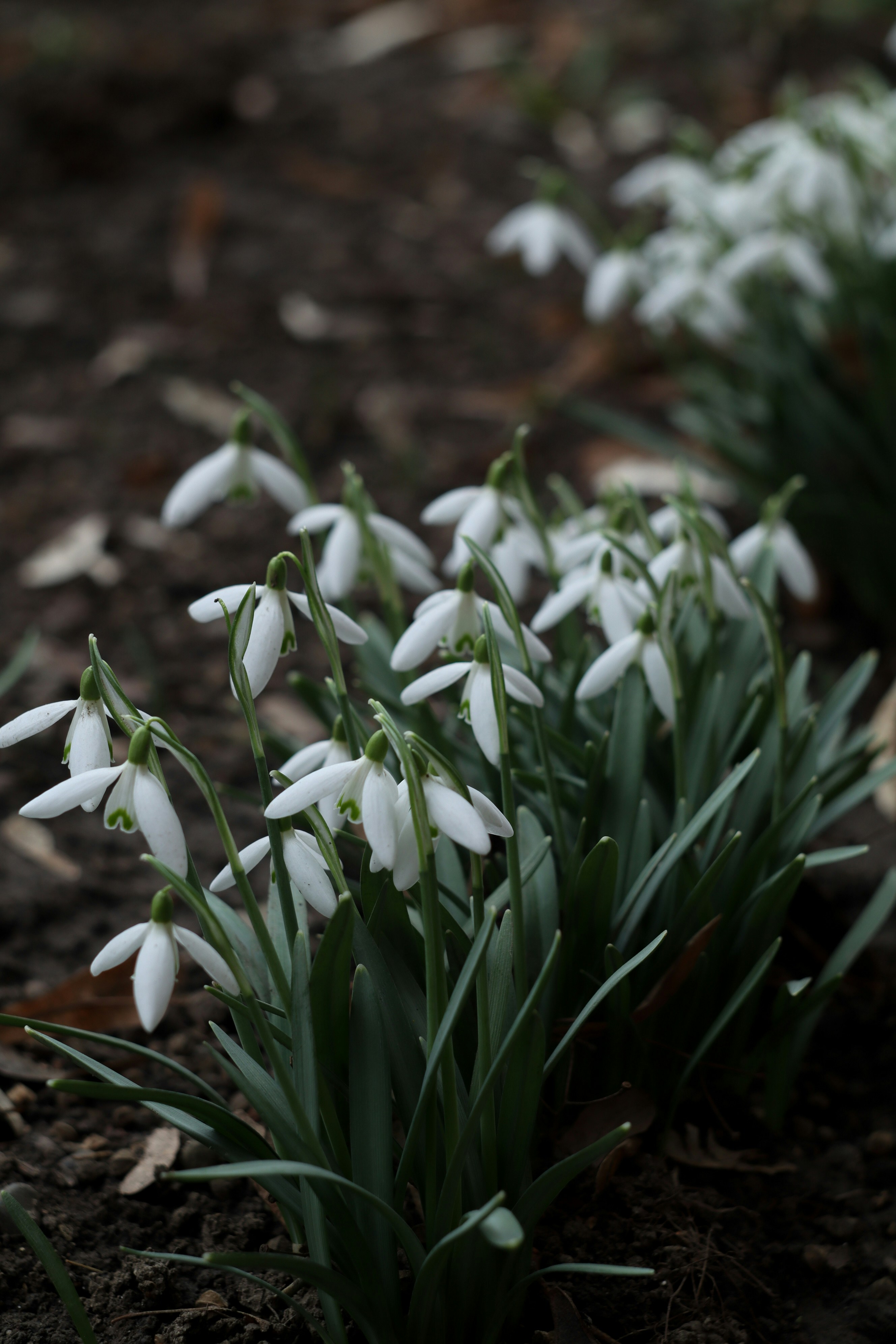 Photo by feeling_hope