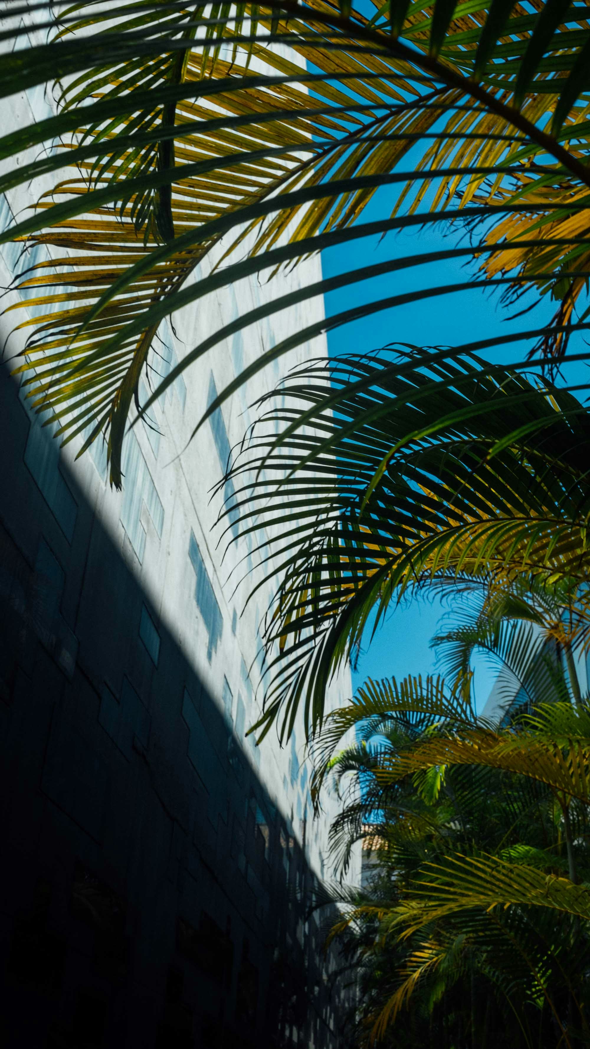 Photo by filipp_roman_photography