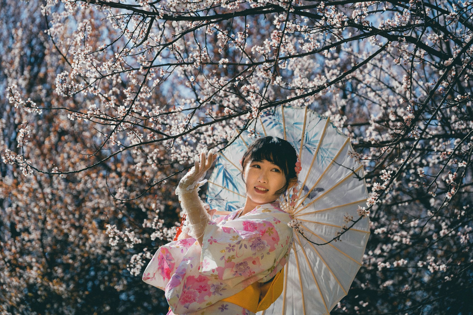A charming display of various yukatas and kimonos in muted sakura rose and light gray, showcasing the collection's cultural beauty.