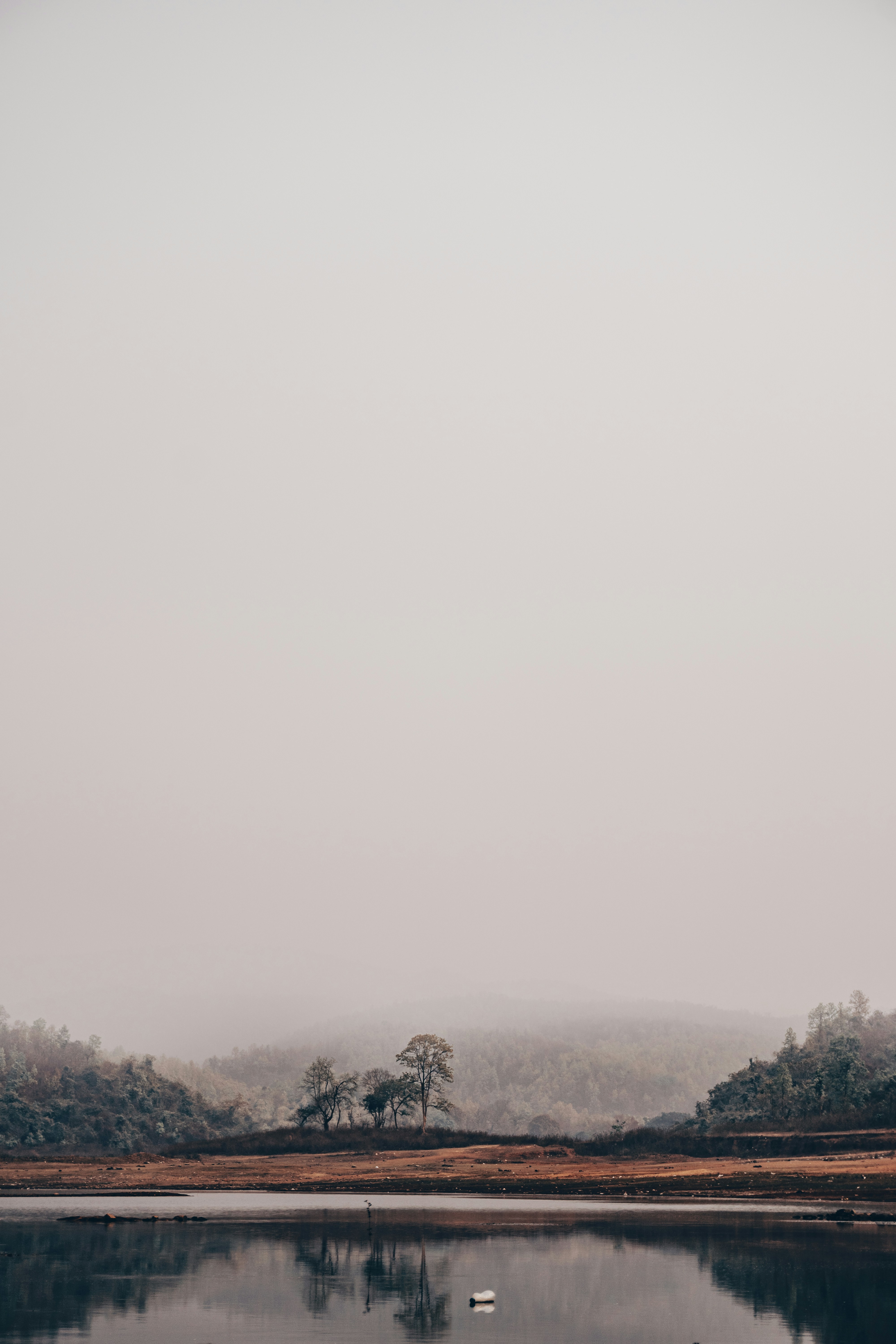 Photo by royphotography