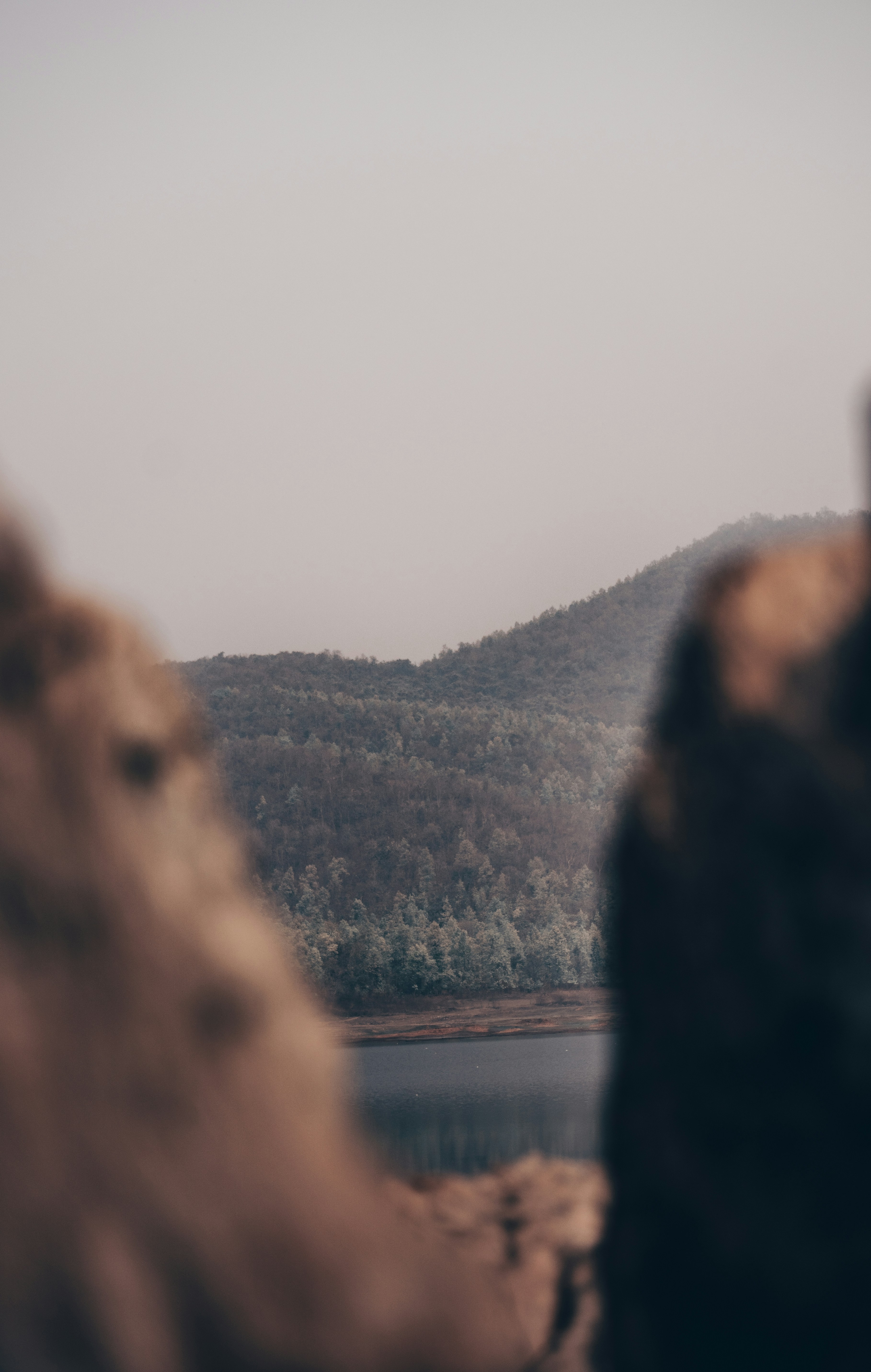 Photo by royphotography