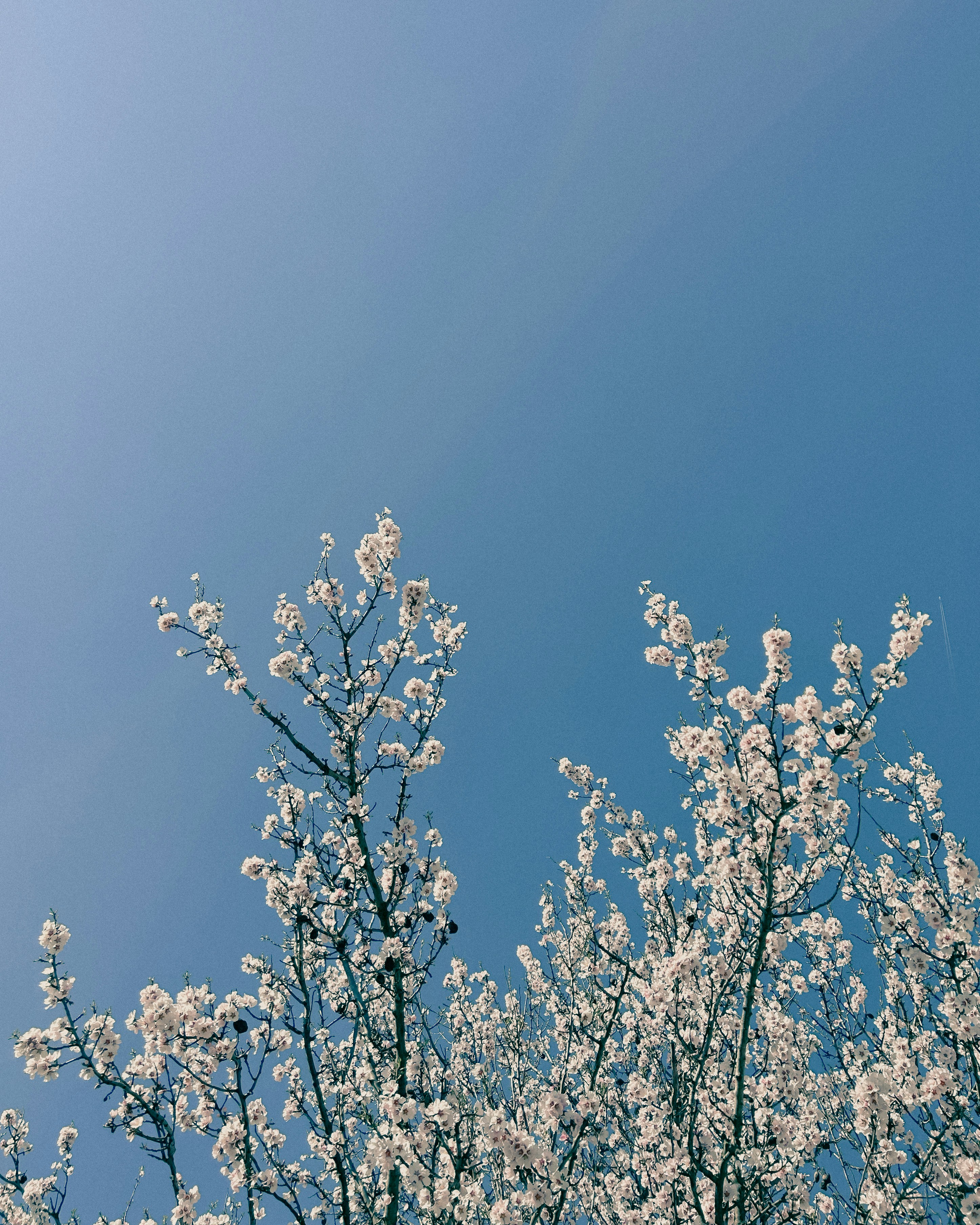 Photo by photomatic_s