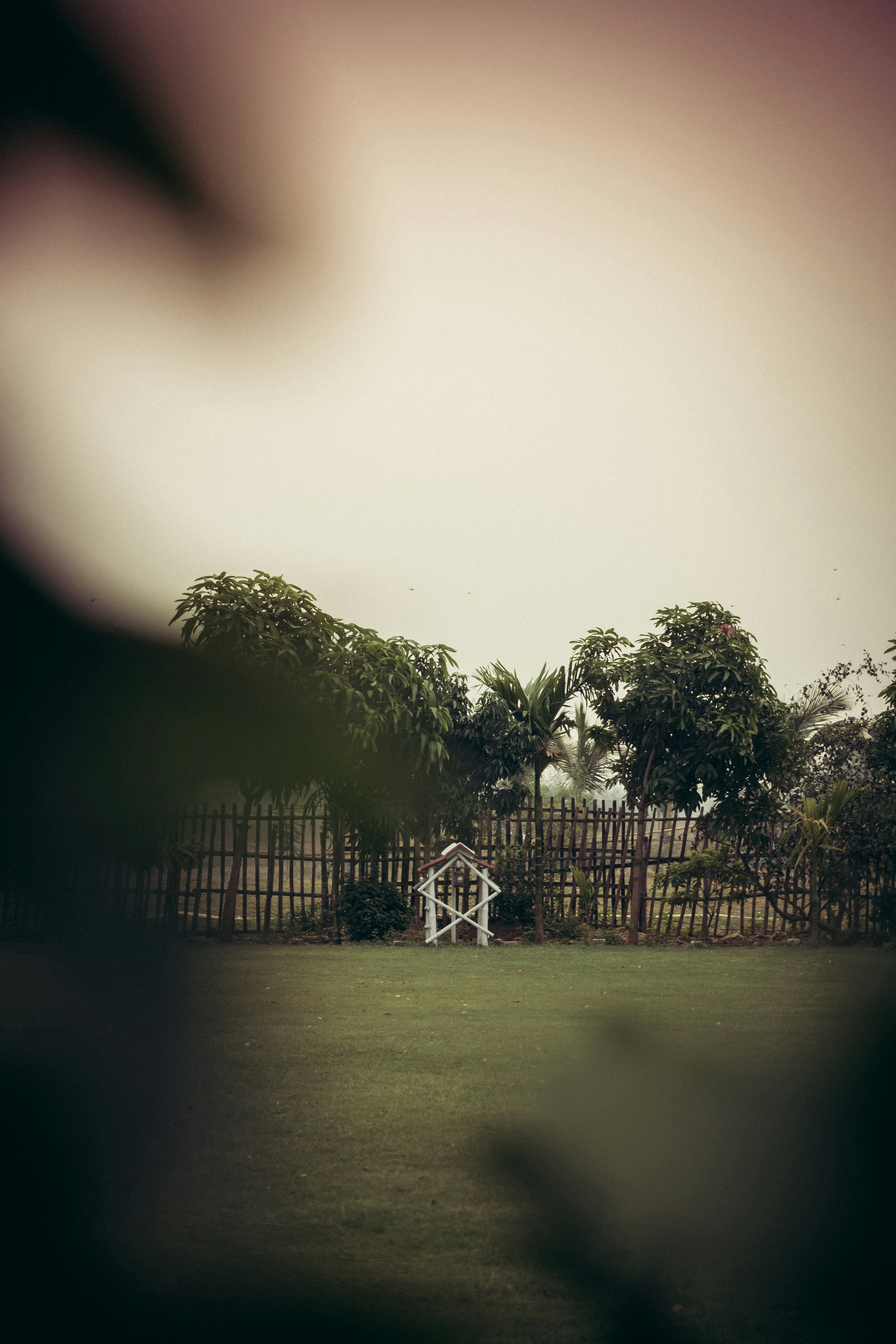 photo-1679138099396-39acb6dadc5d?ixid=M3