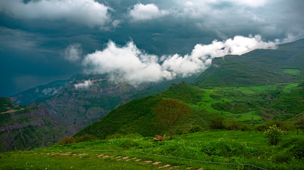 a lush green hillside under a cloudy sky