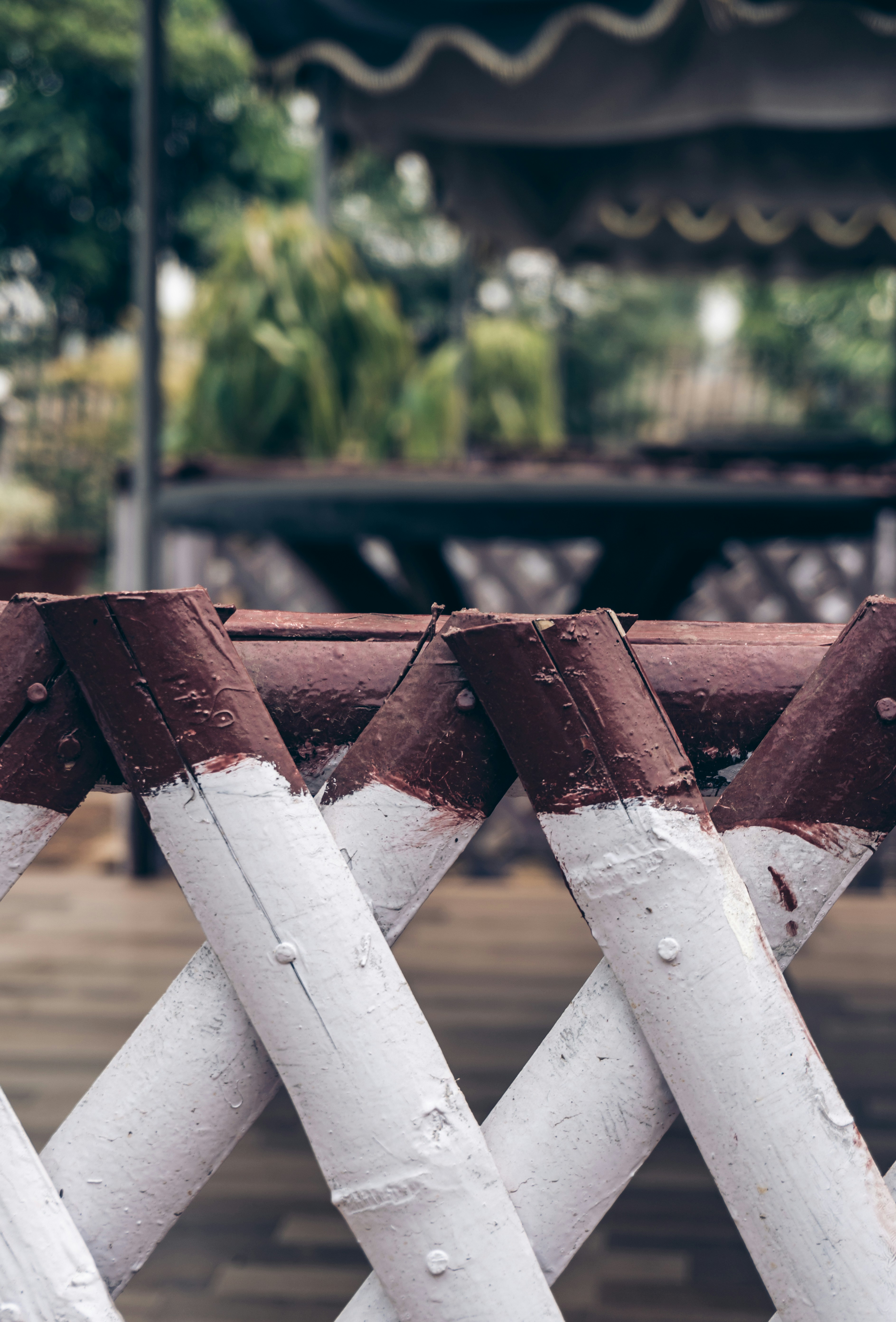 Photo by royphotography