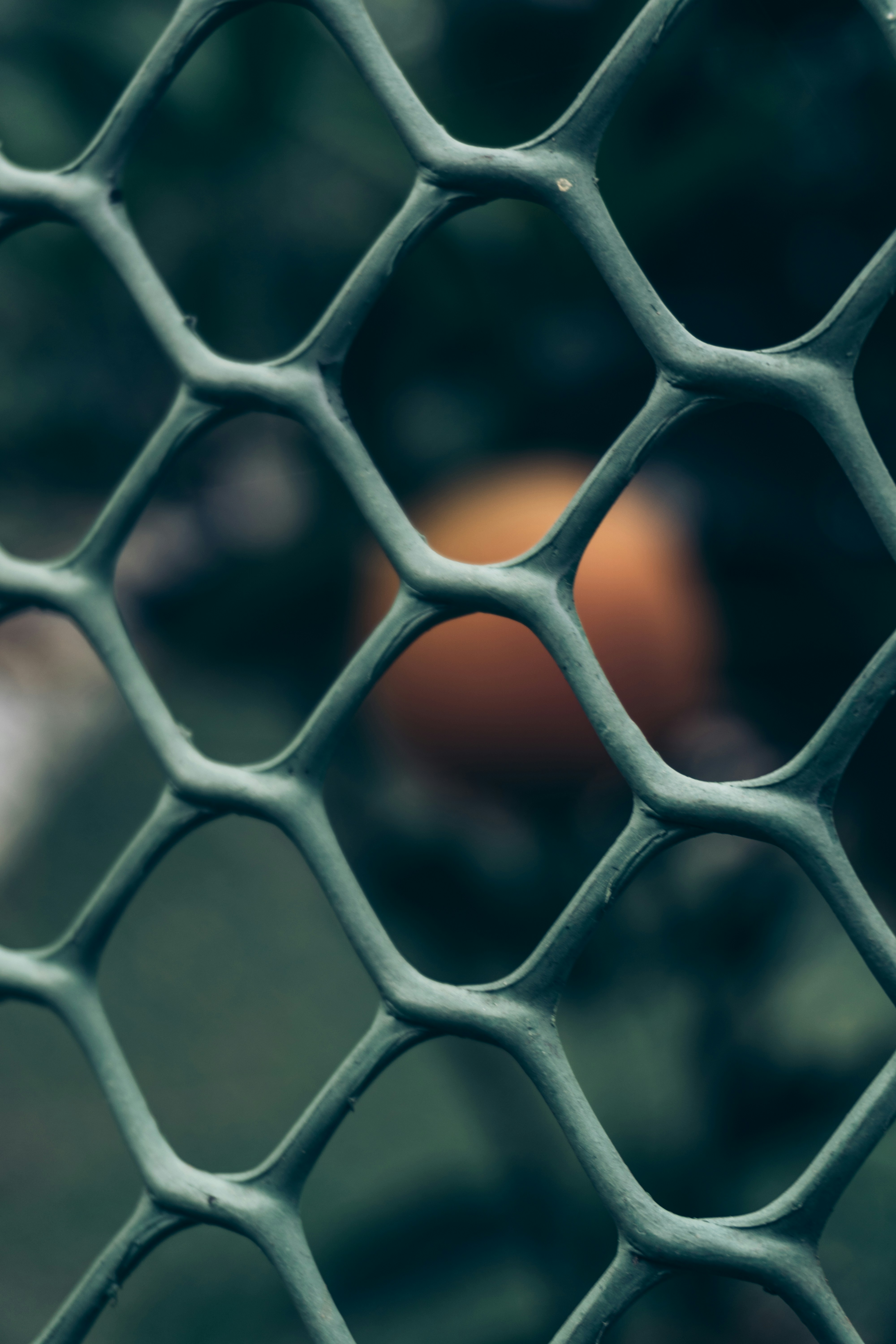 Photo by royphotography