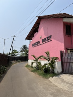 A vibrant pink building with the words 'Mazzo Reef' displayed prominently on its side. The building has a corrugated metal roof and a window with bars. In front of the building, there are small palm plants and a paved driveway. The sky is clear, with overhead power lines stretching along the narrow road beside the building. The area appears to be quiet and somewhat rural, with some foliage and a tall fence continuing along the road.