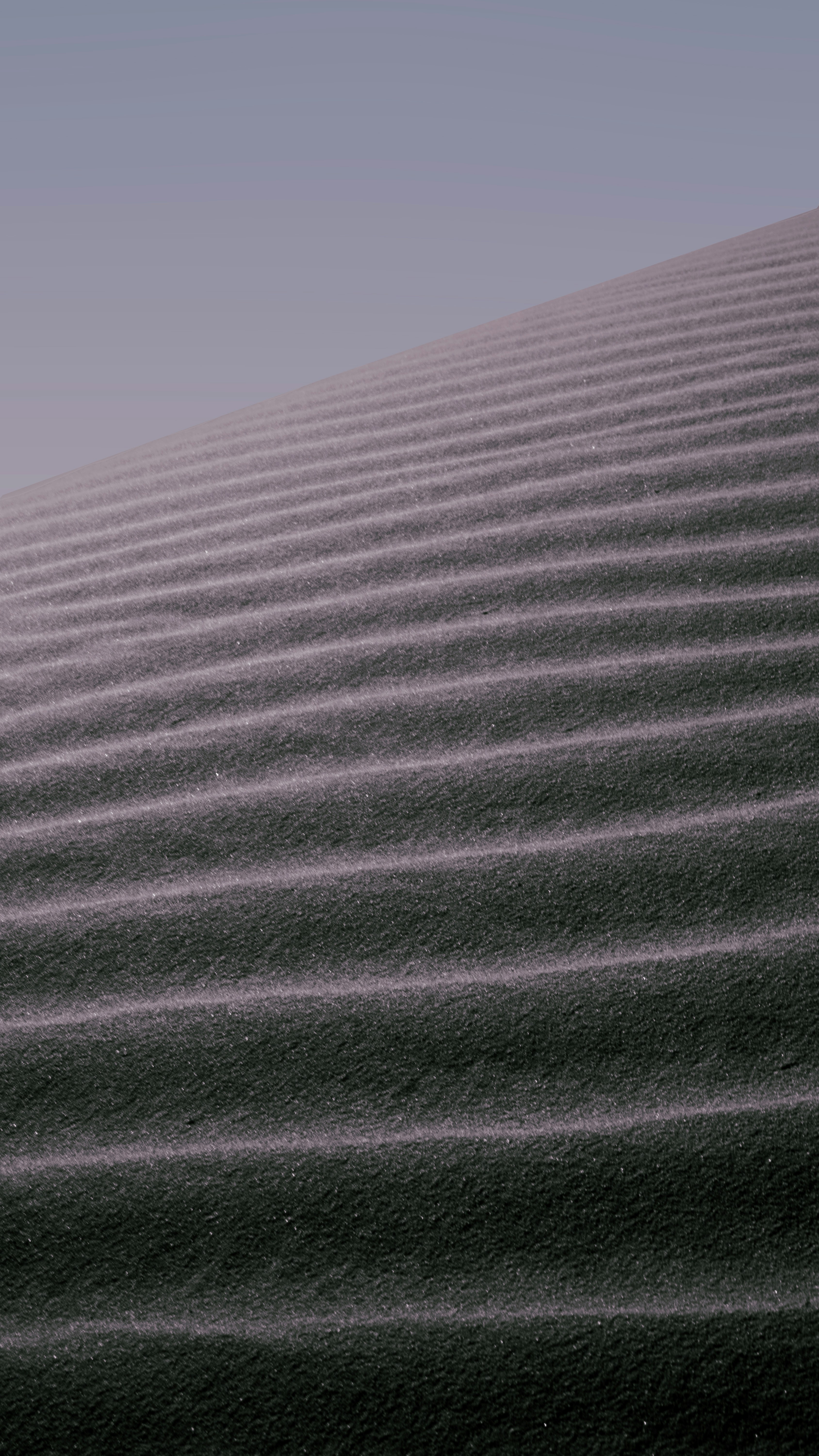 Photo by mariammahmoud_23