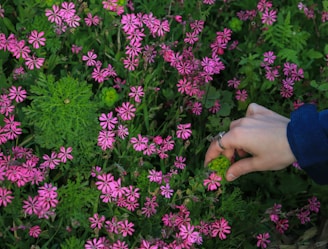 Close-up of a woman’s hand touching tropical flowers while wearing a colorful betropical blouse.
