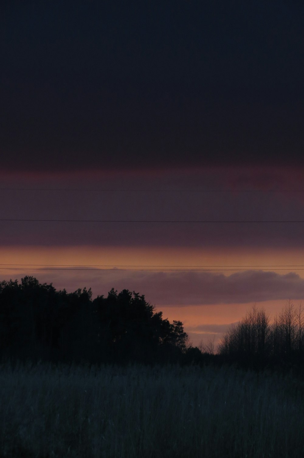 a field with trees in the distance and a sunset in the background