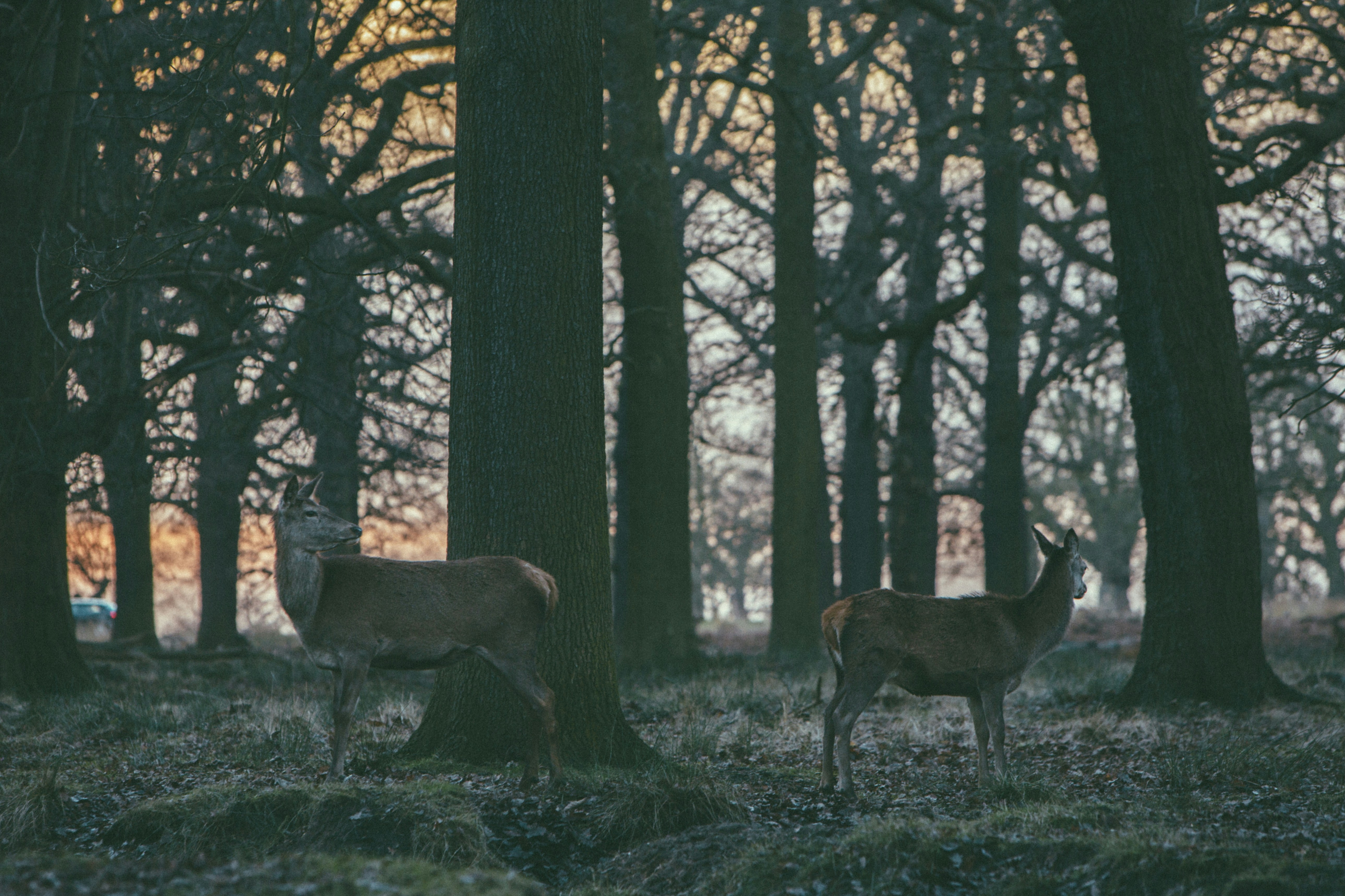 Photo by seabreezeuk