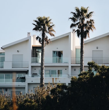 a couple of palm trees sitting in front of a building