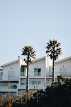 A modern white building with large windows, featuring two distinctive angled roofs. Two tall palm trees are prominently in front of the building, with clear blue skies in the background. The foreground is filled with blurred greenery.