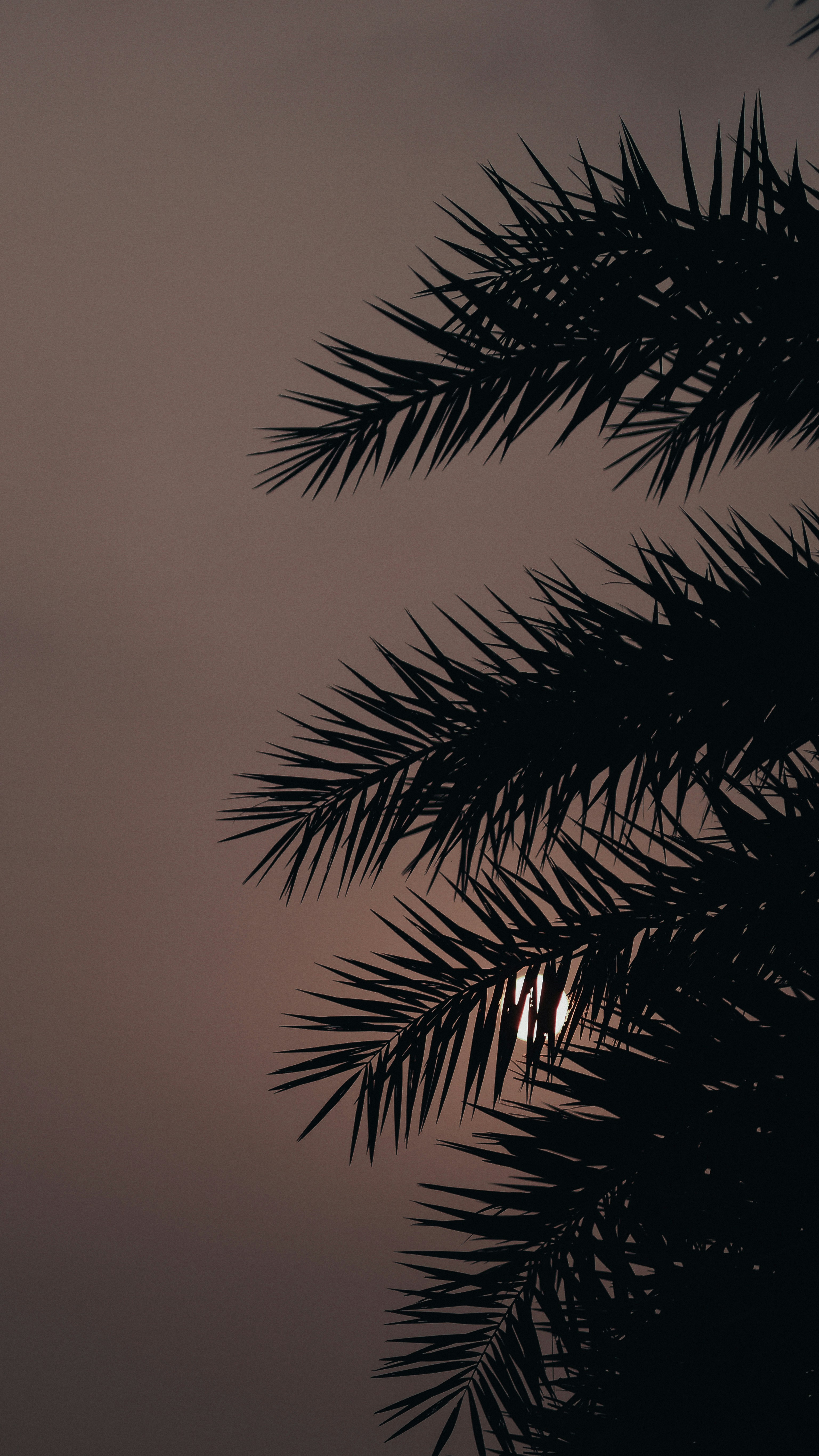 Photo by dickenslin76