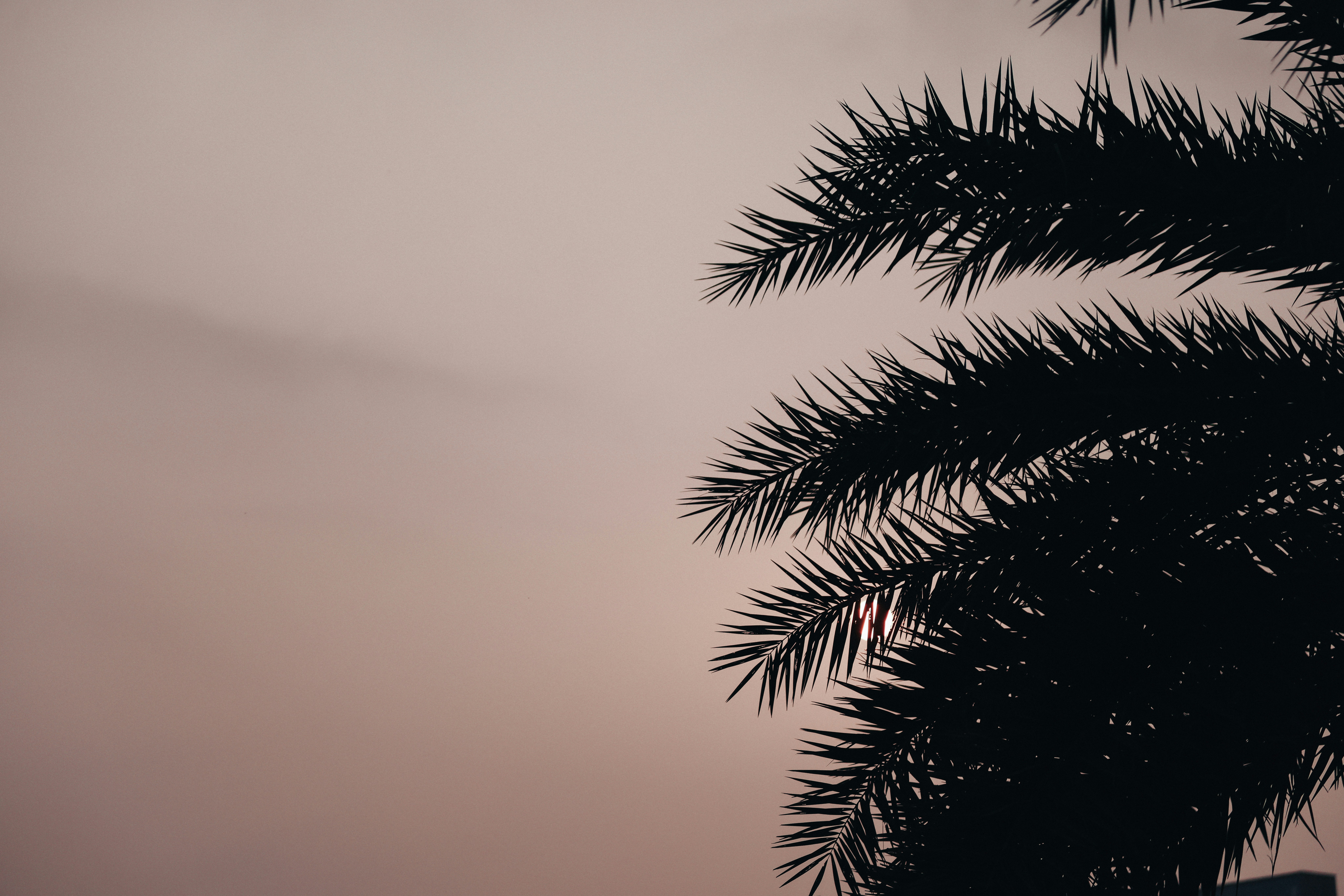 Photo by dickenslin76