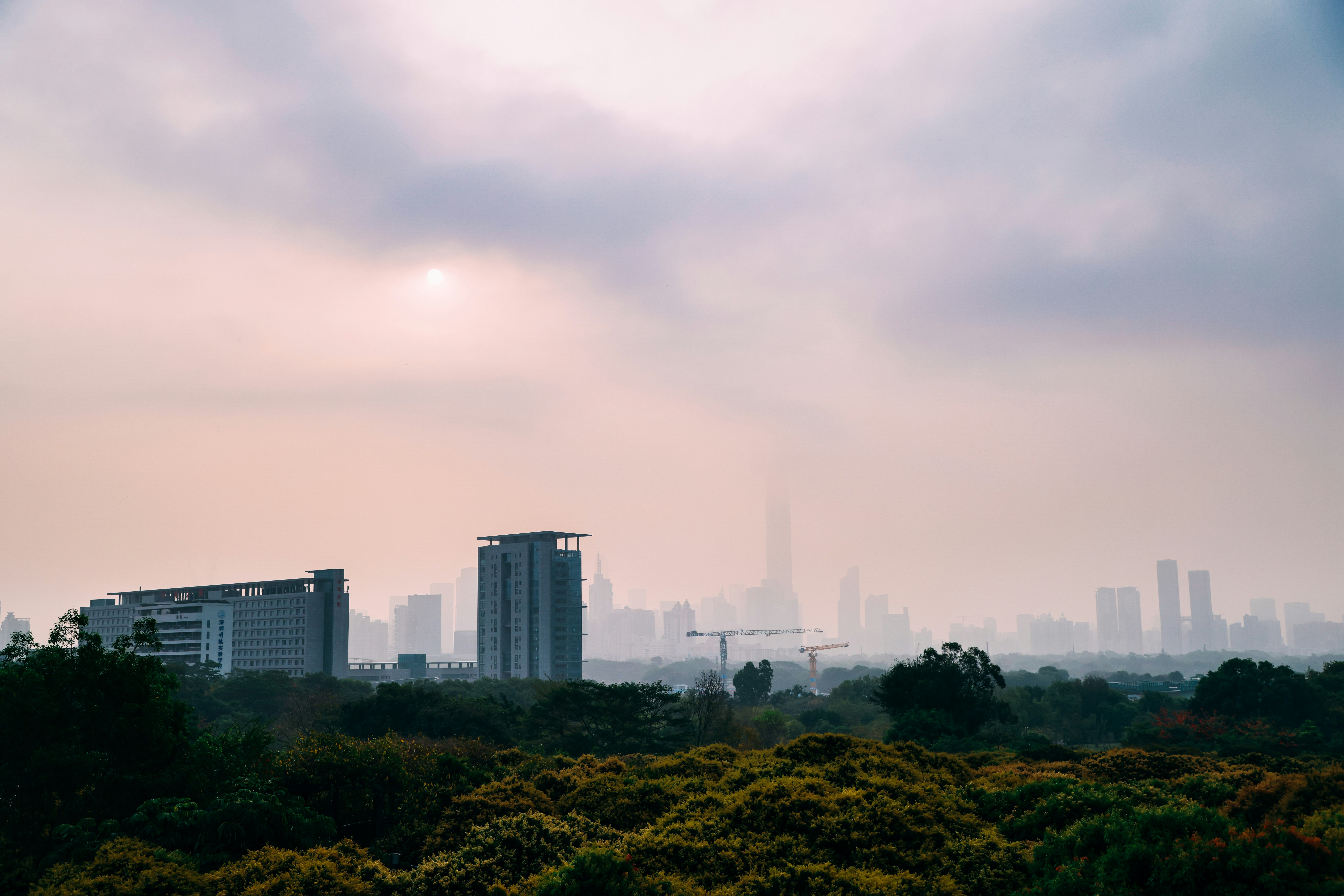 Photo by dickenslin76