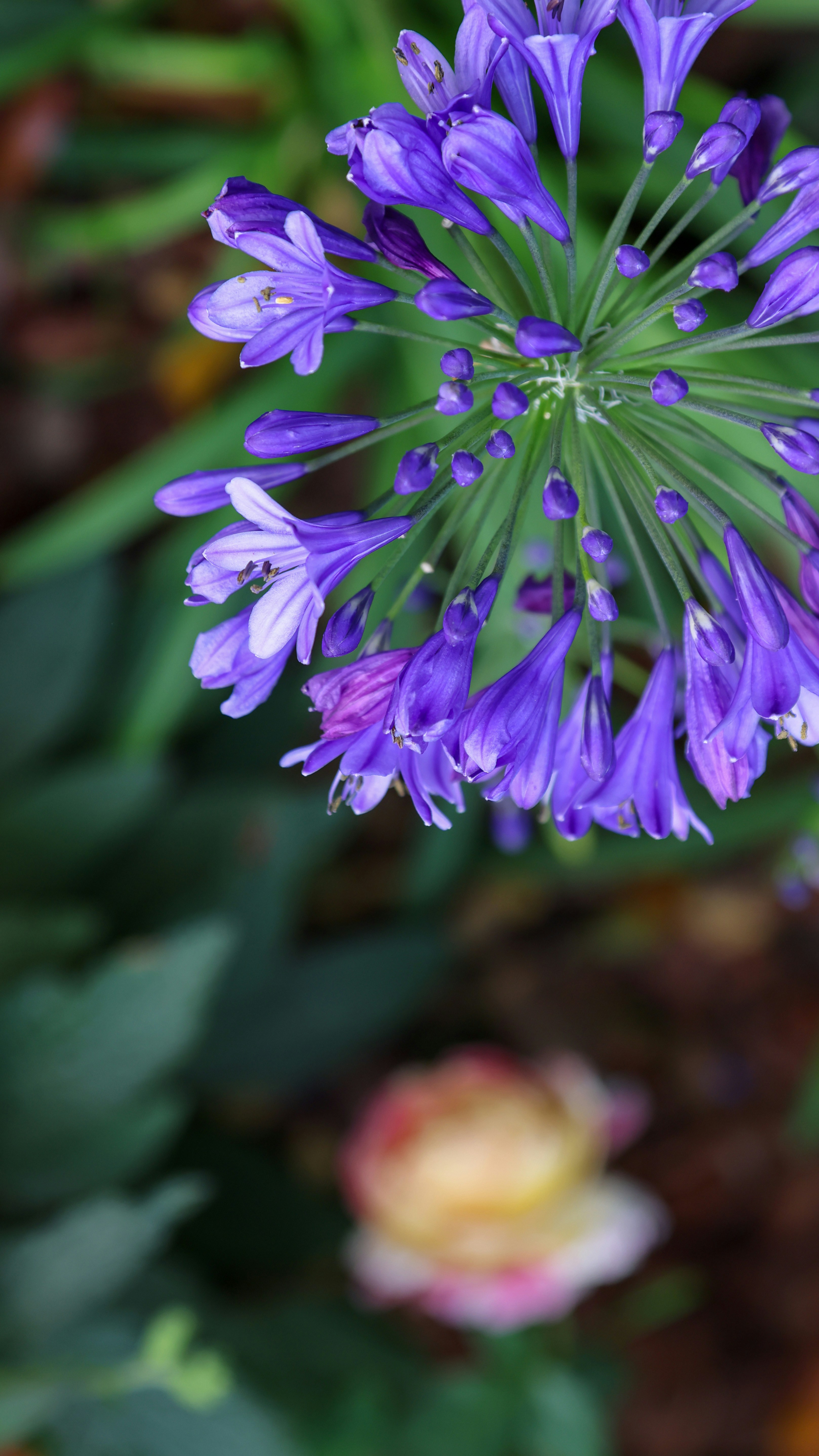 Photo by dickenslin76